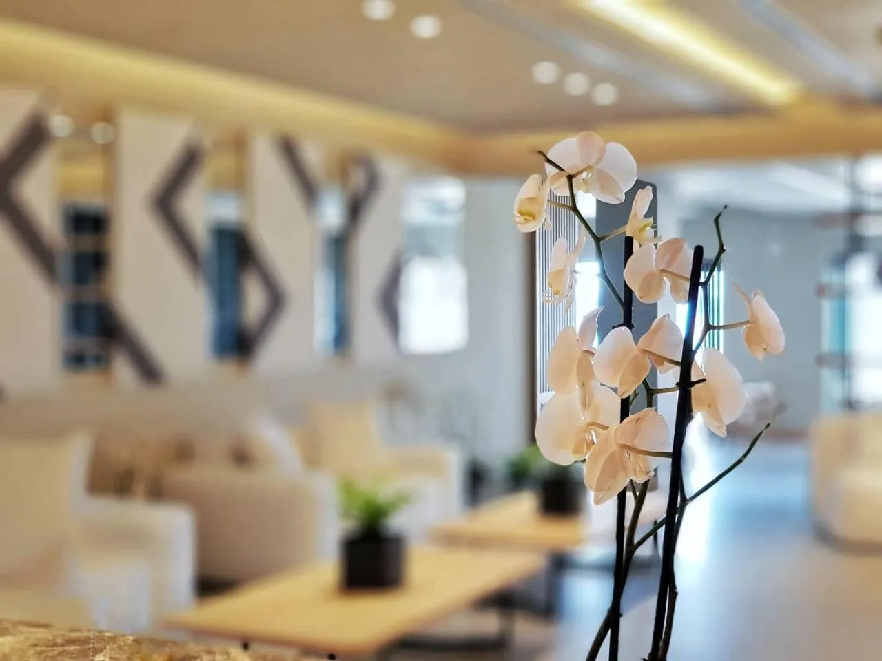 Ikones Seafront Luxury Suites