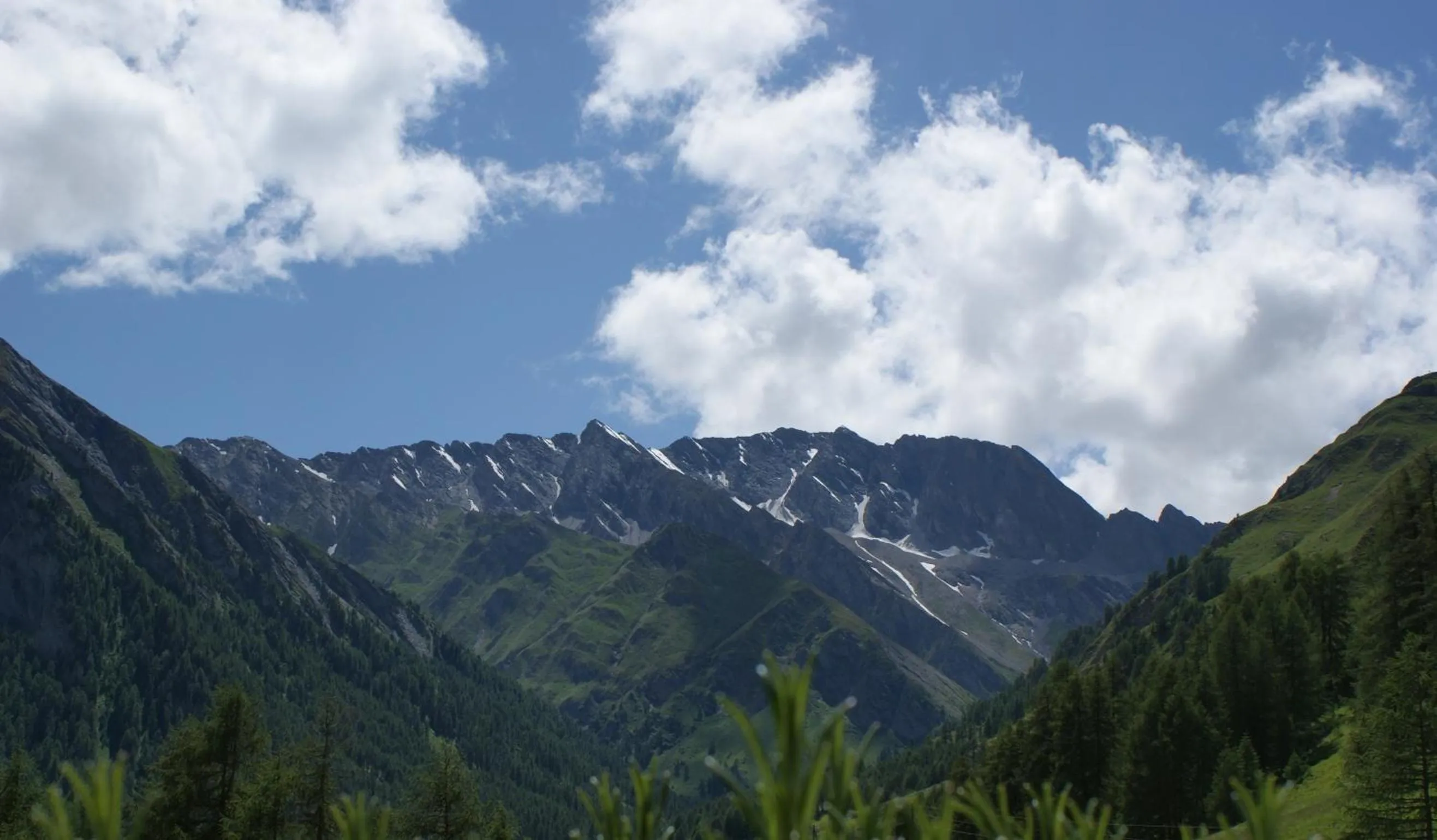 View (from property/room) in Sonnenhotel Soldanella Sonneck