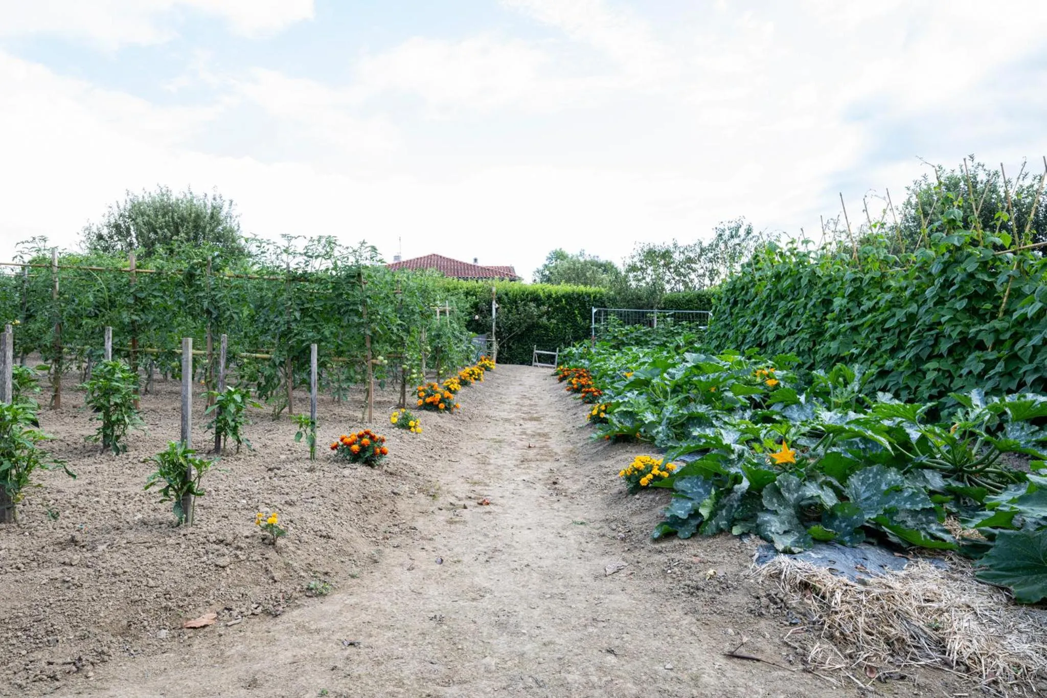 Hôtel Ithurria - Teritoria