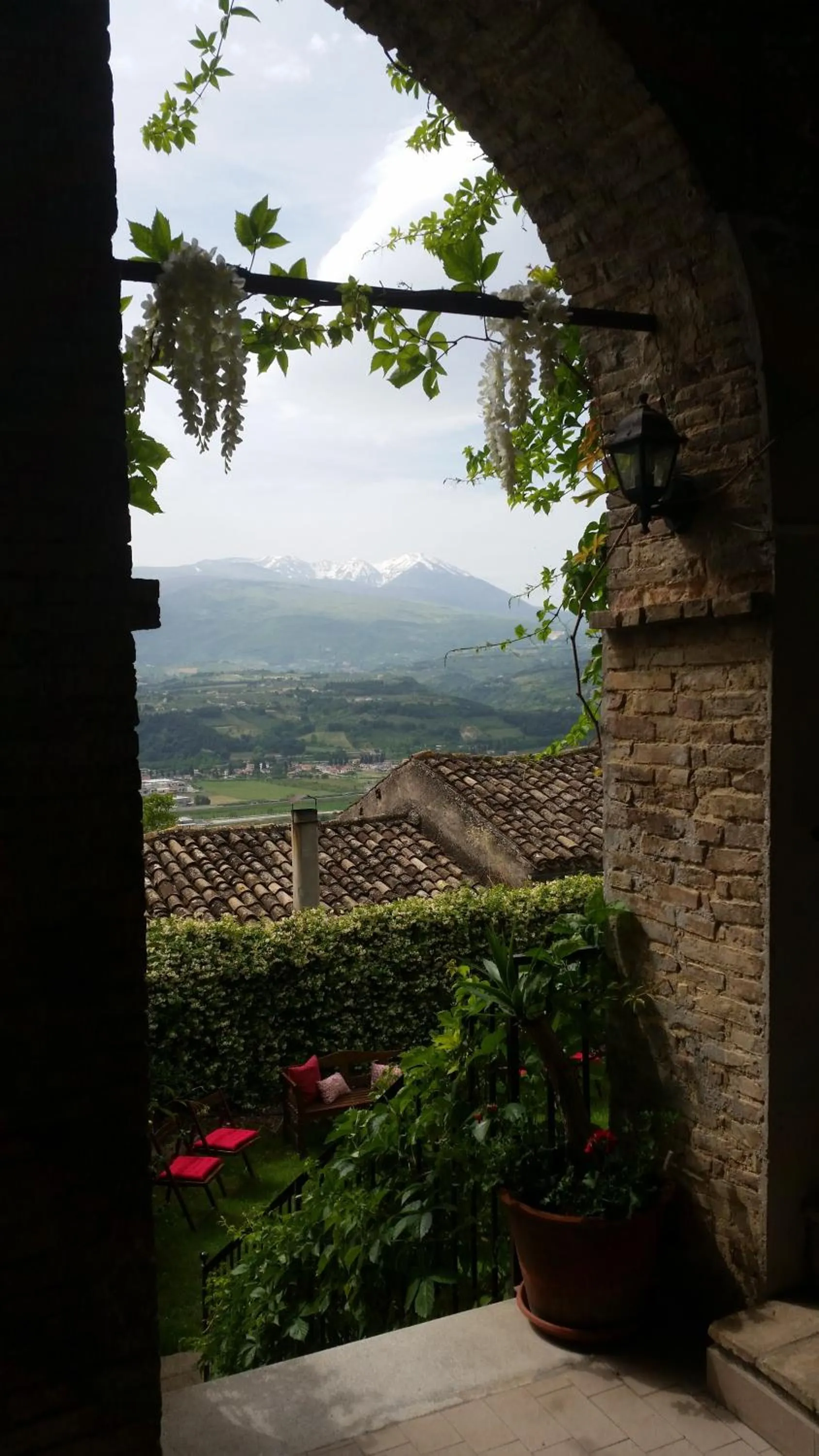 Garden view in Palazzo De Fabritiis