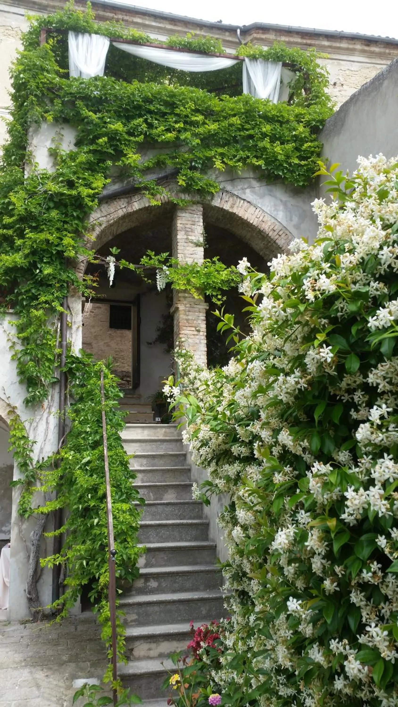 Garden in Palazzo De Fabritiis