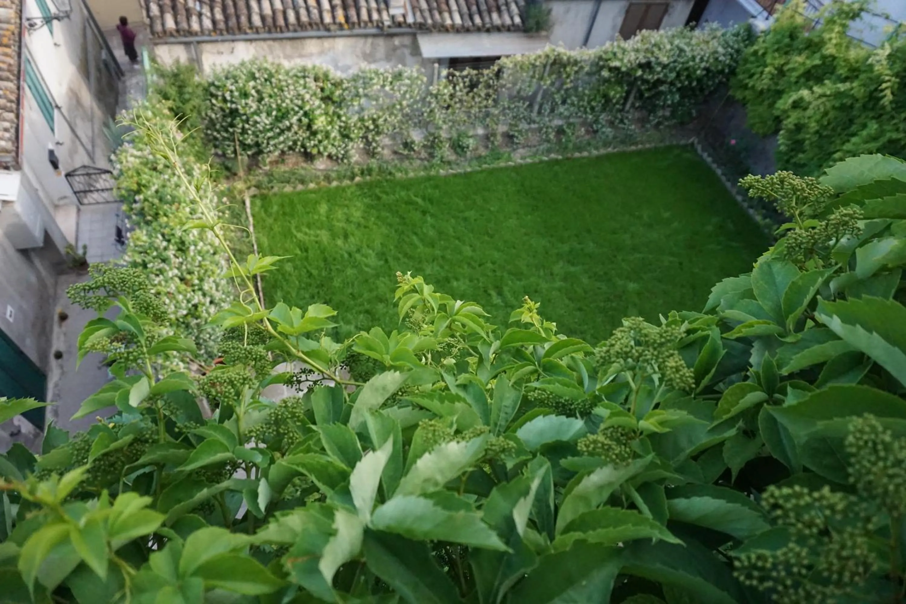 Garden in Palazzo De Fabritiis