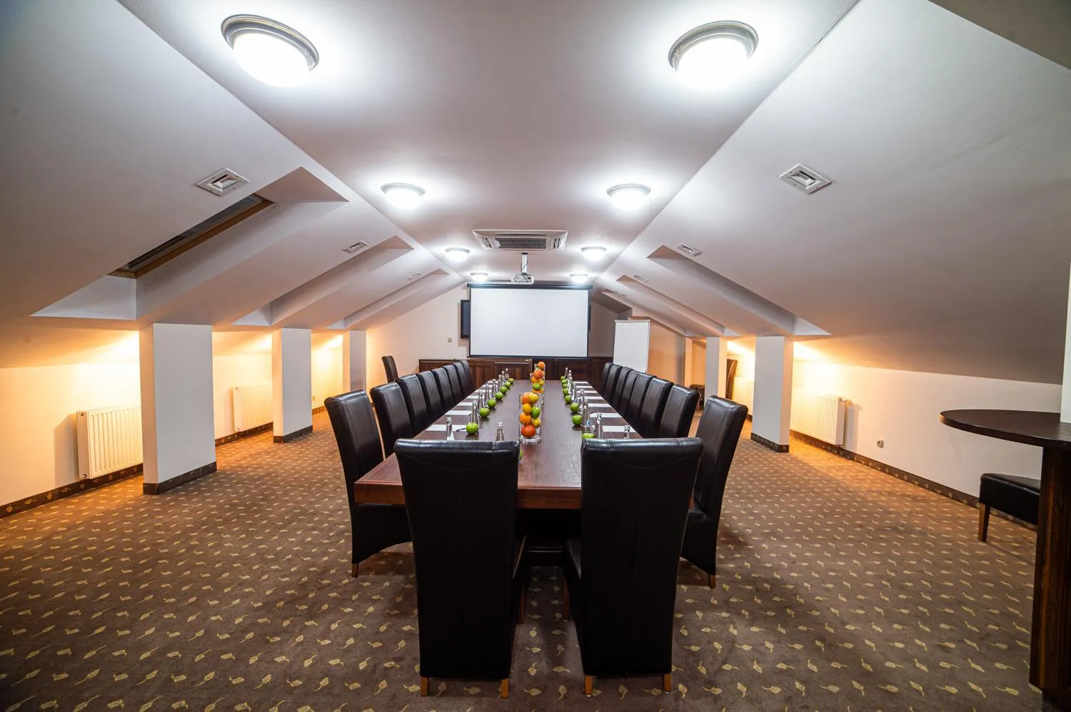 Meeting/conference room in Hotel Cyprus