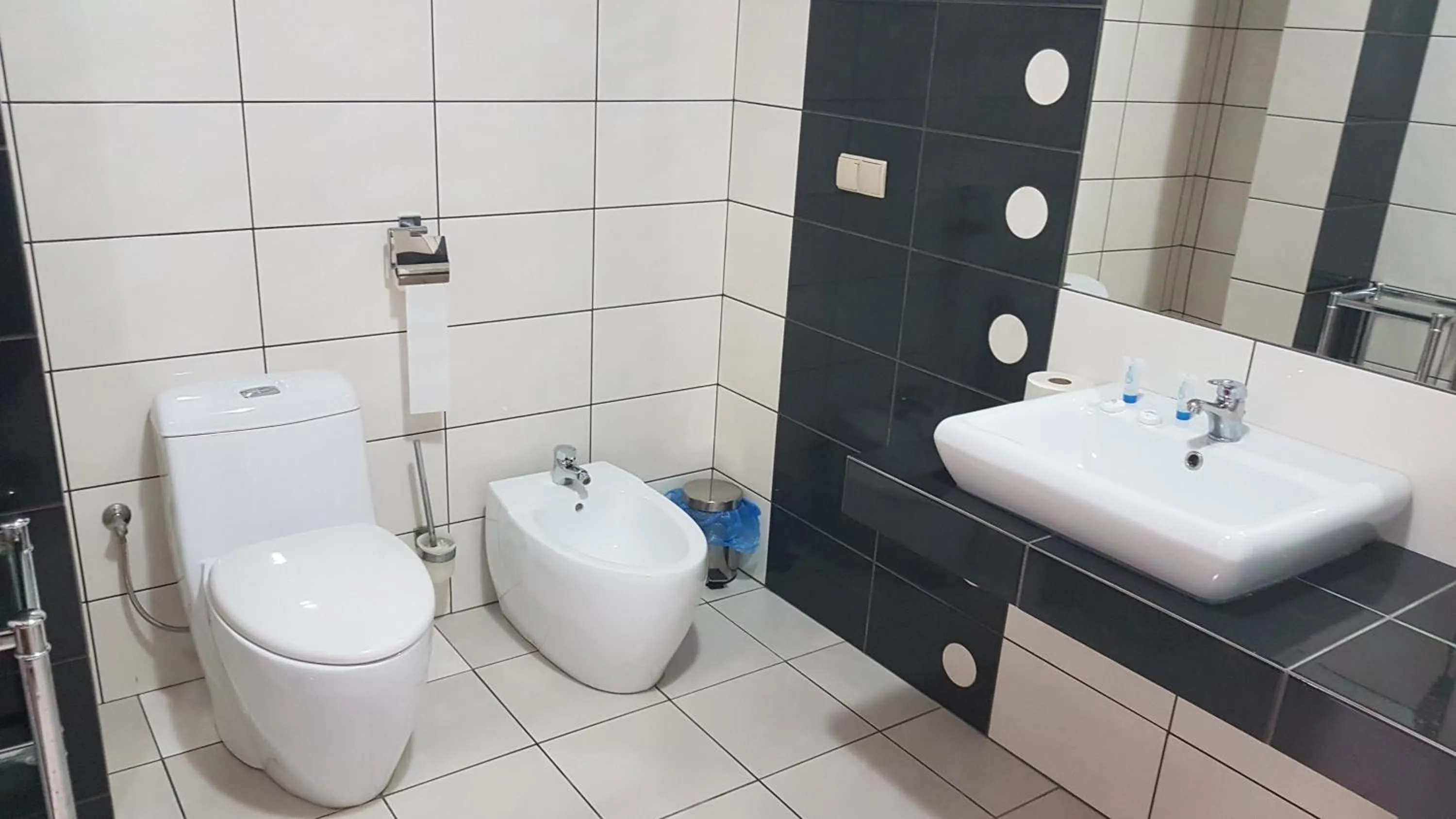 Toilet in Hotel Cyprus