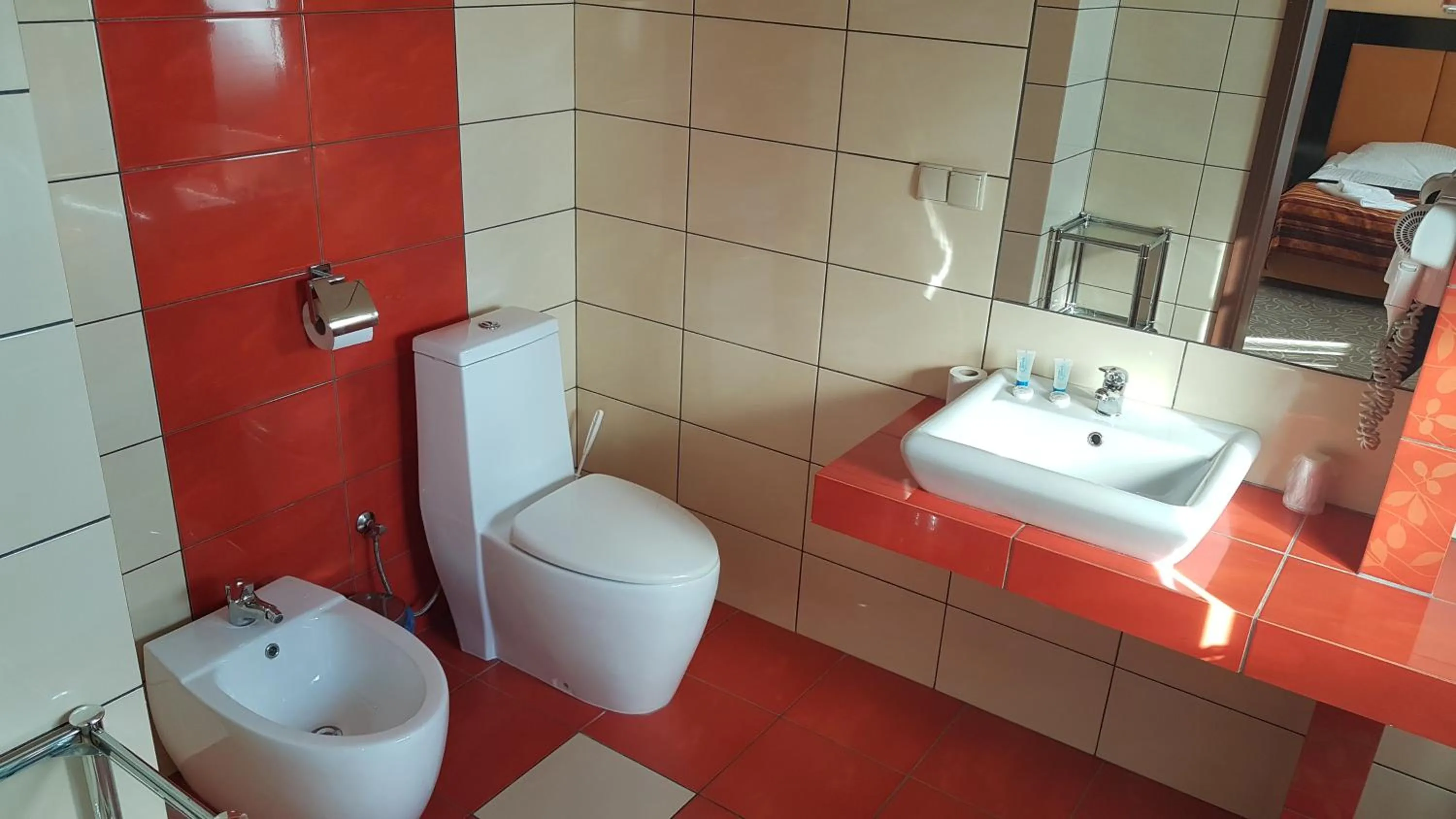 Toilet in Hotel Cyprus