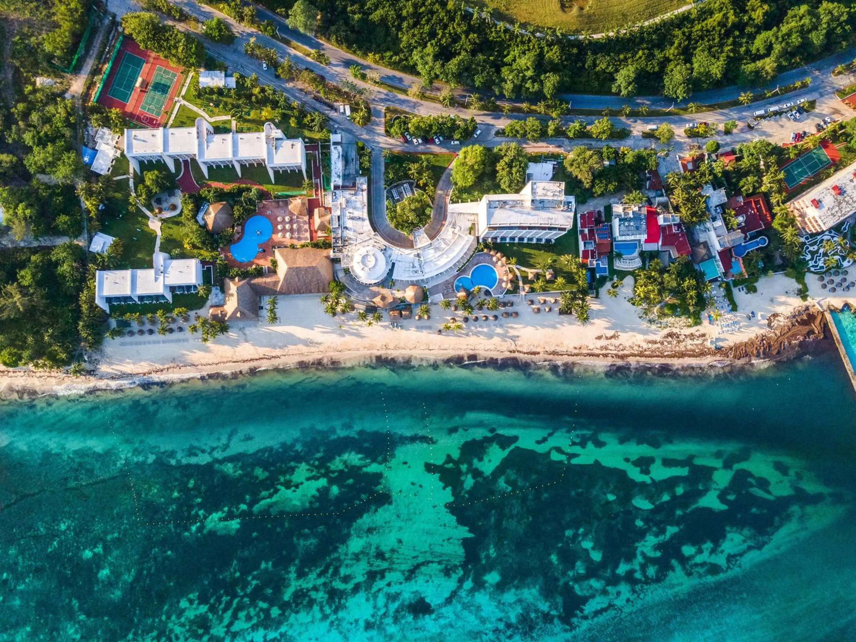 Natural landscape in Meliá Cozumel - All Inclusive
