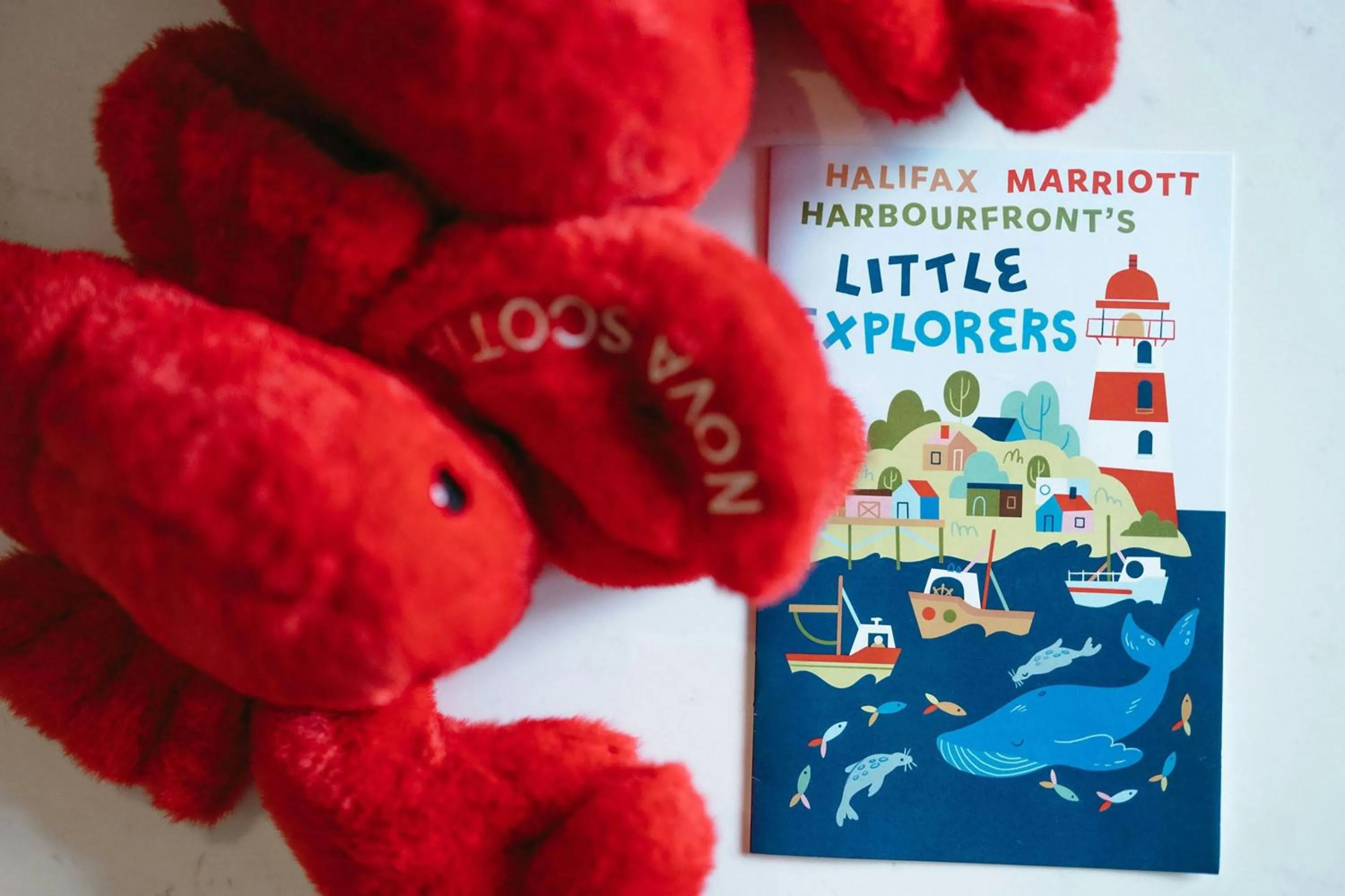 Other in Halifax Marriott Harbourfront Hotel