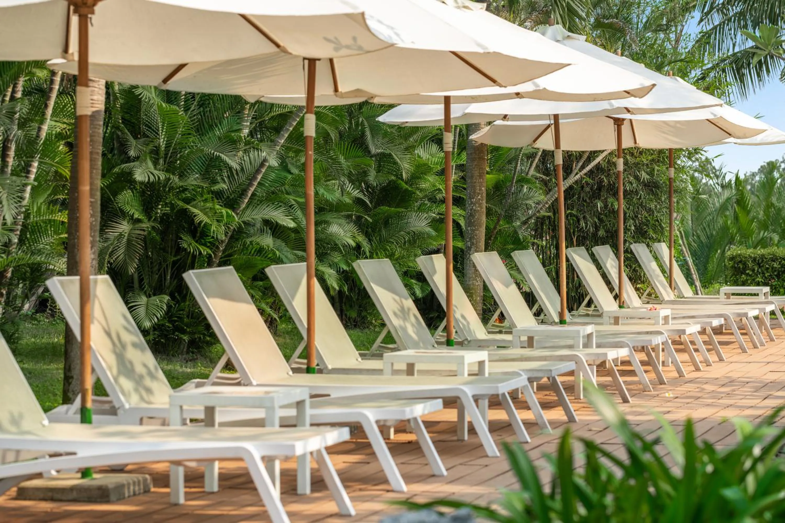 Pool view in Silk Sense Hoi An River Resort - Green Luxury Escape