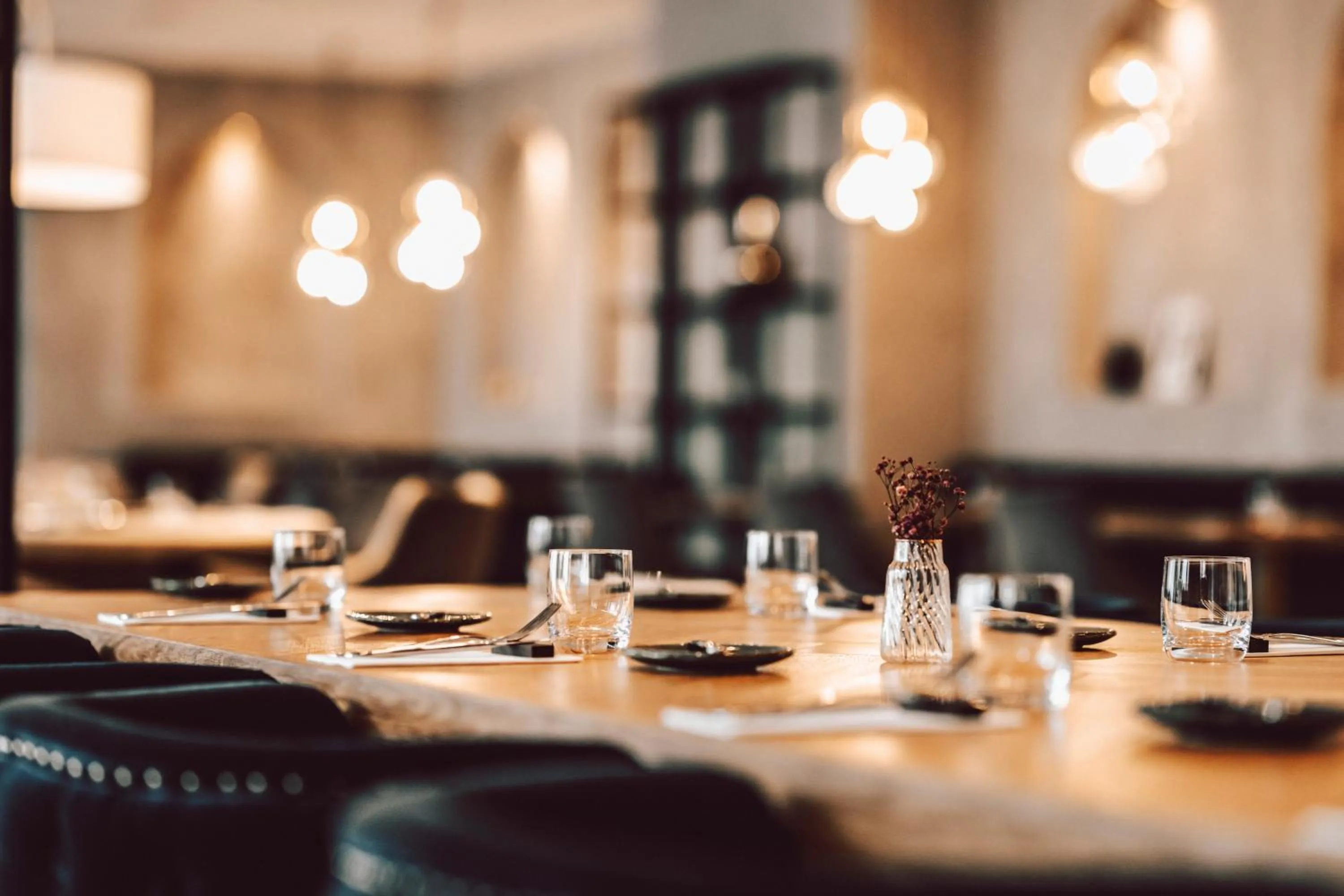 Restaurant/places to eat in Hotel Palcát