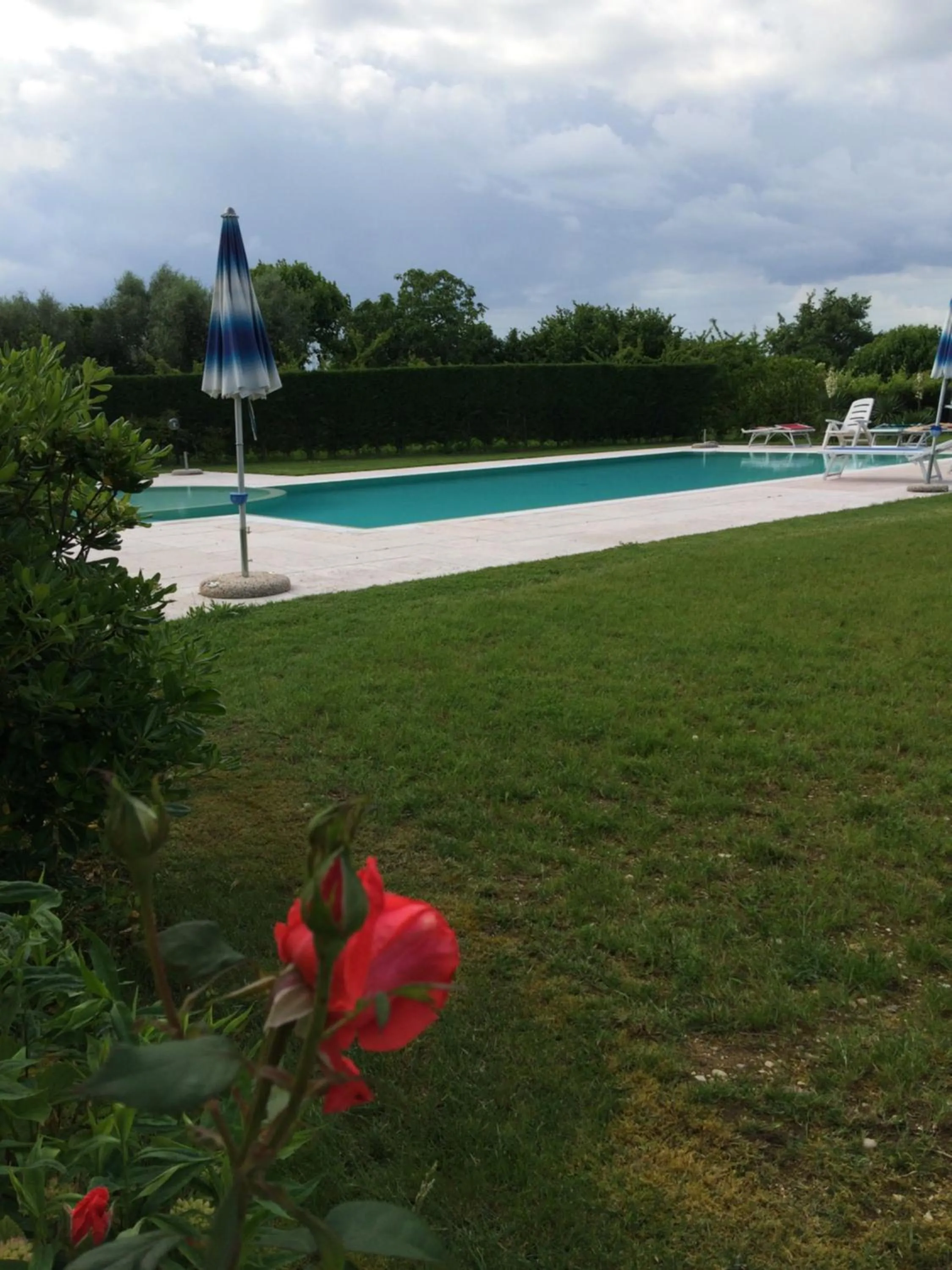 Swimming pool in Agriturismo La Palazzina