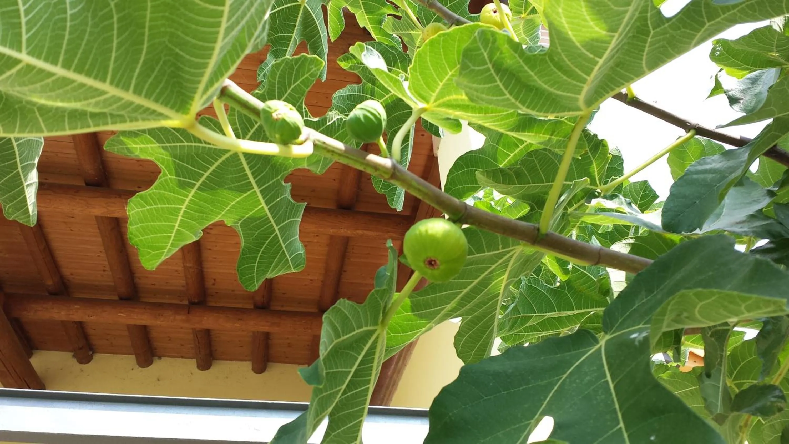 Facade/entrance in Agriturismo La Palazzina