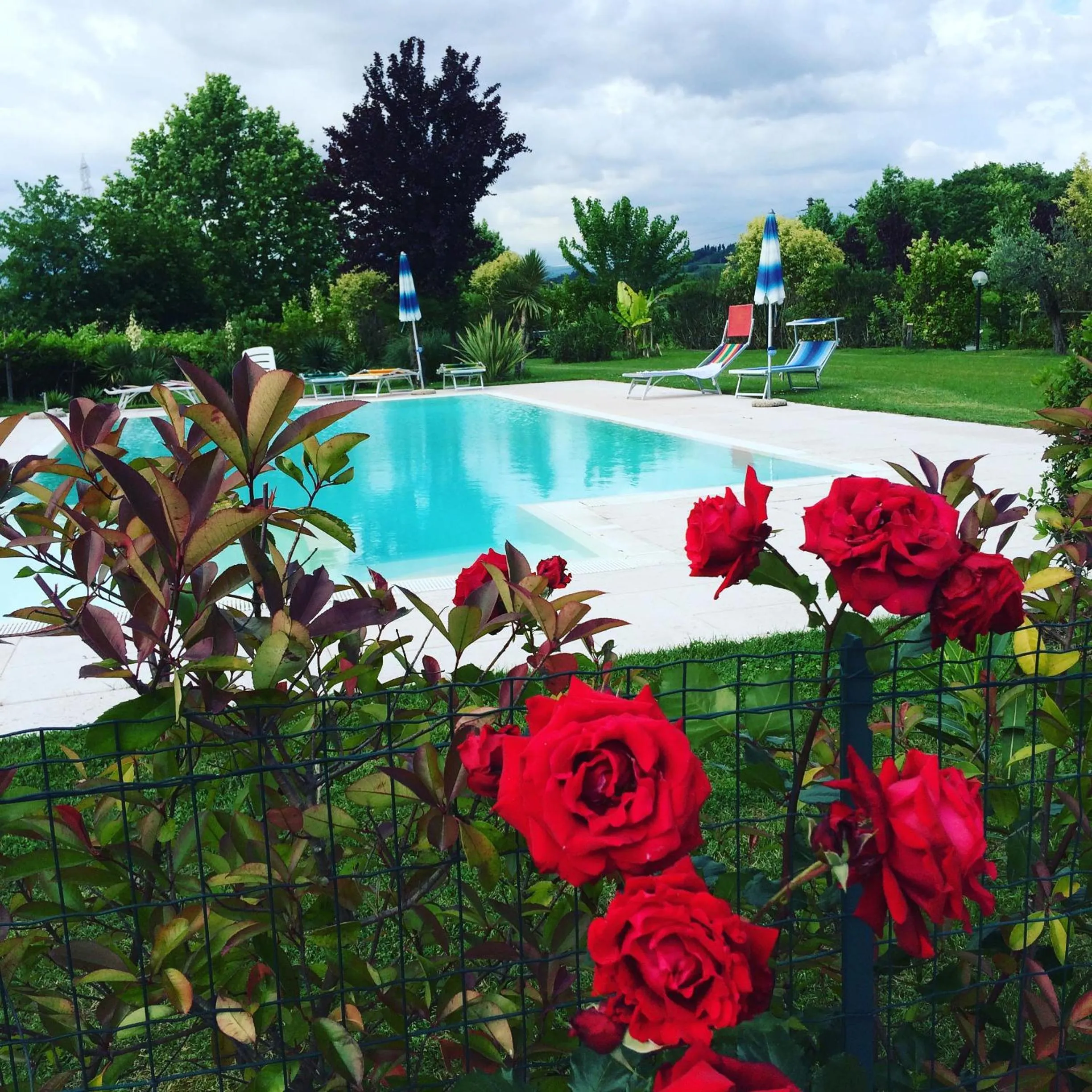 Swimming pool in Agriturismo La Palazzina