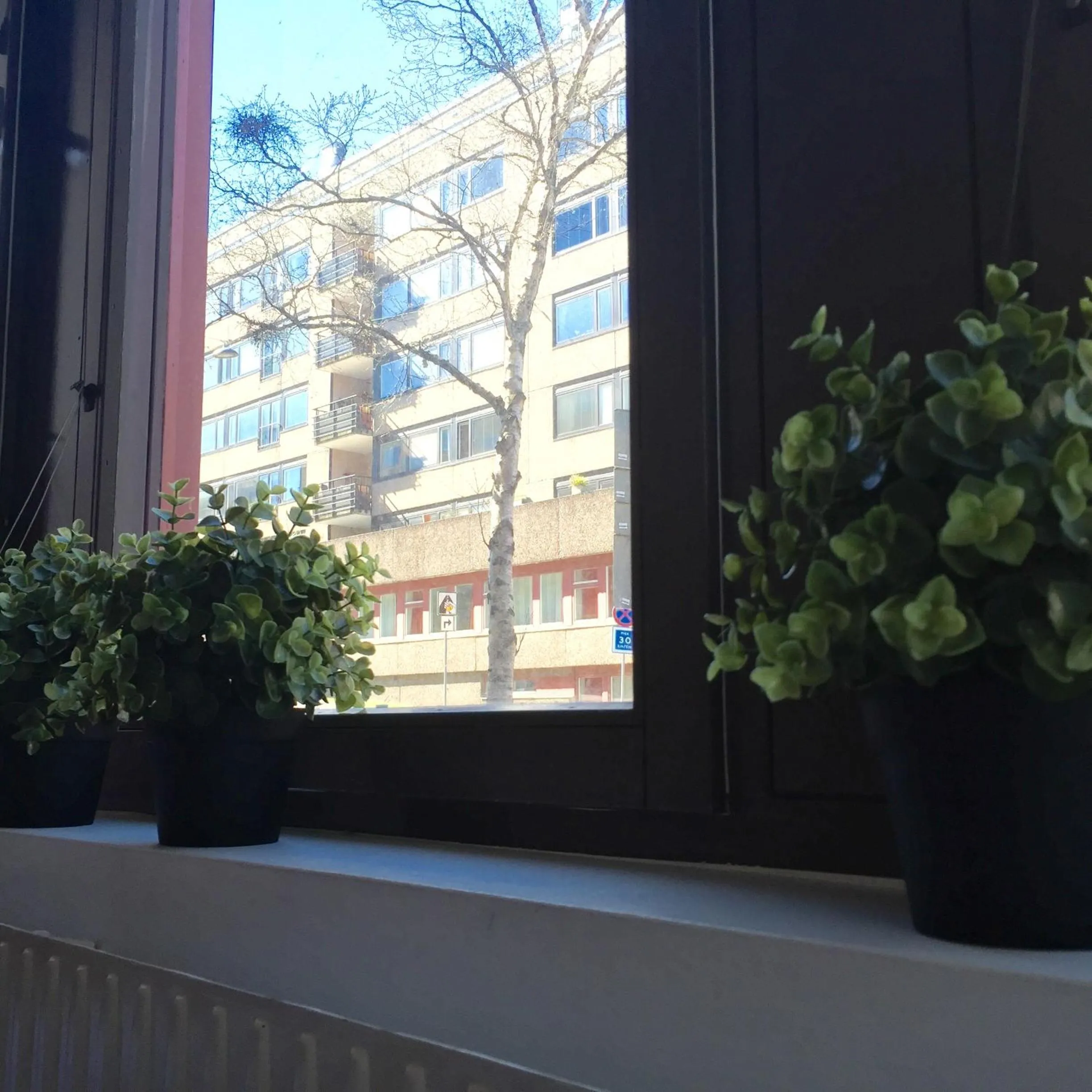 Day in Linné Hostel