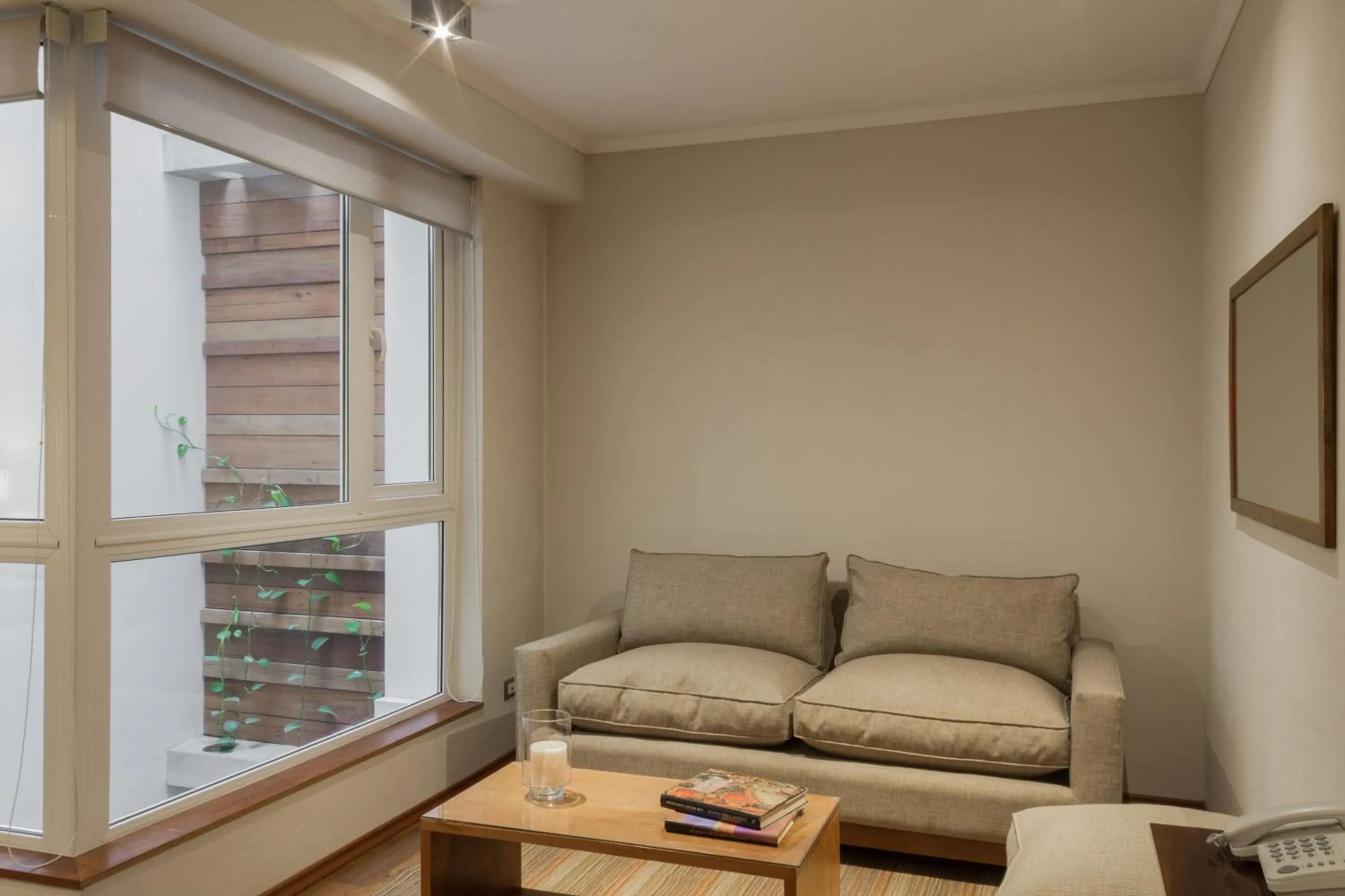 Living room in Lastarria Aparts