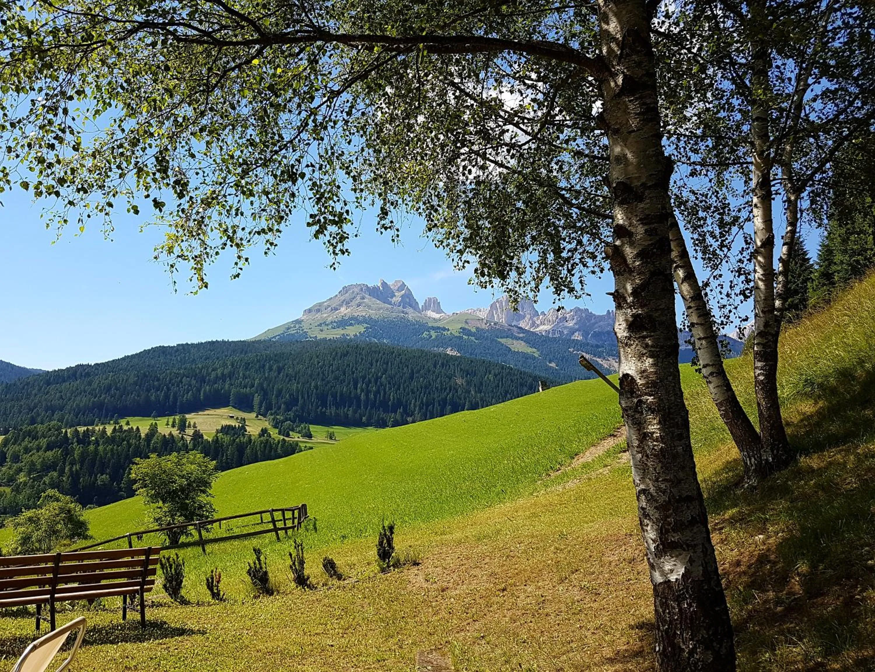 Ciasa Alpina Relax Hotel