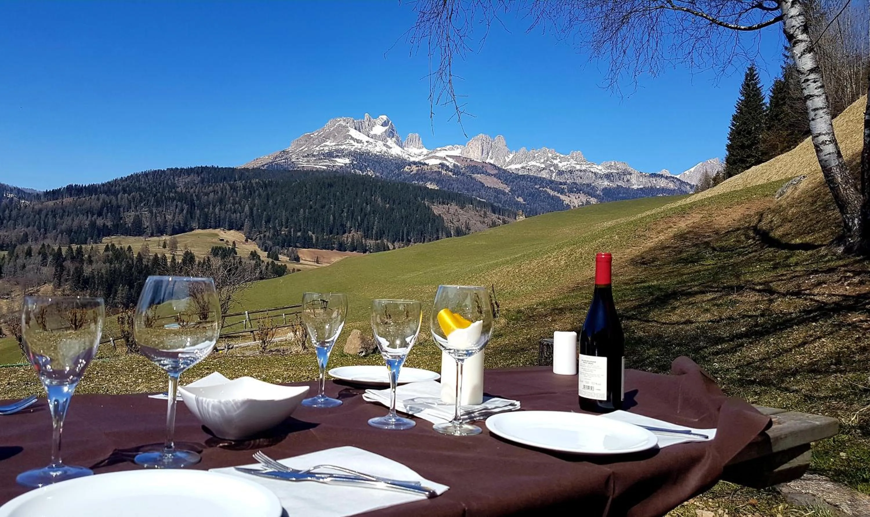 Restaurant/places to eat in Ciasa Alpina Relax Hotel