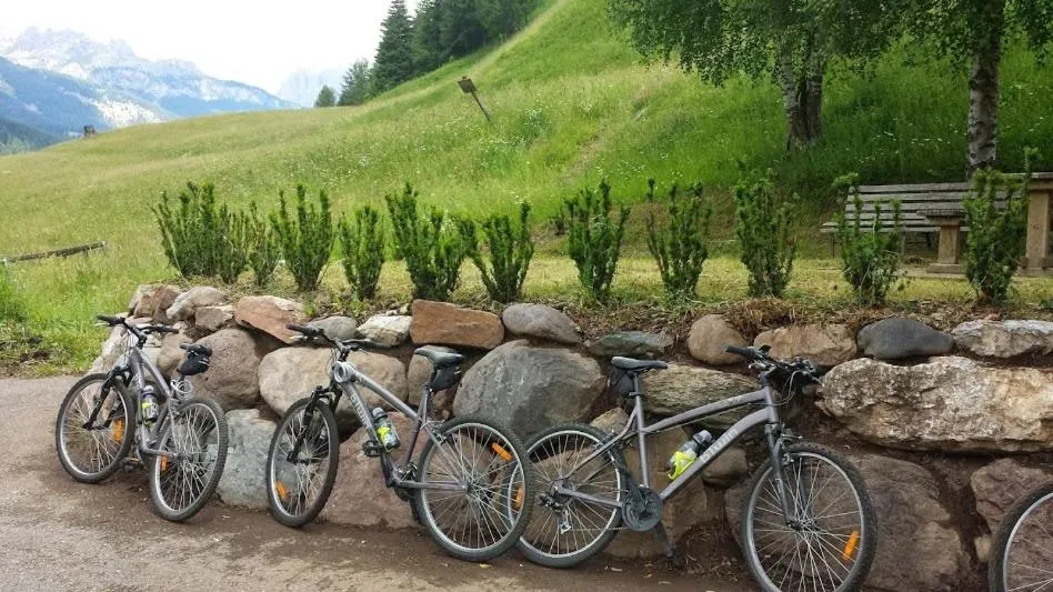 Day in Ciasa Alpina Relax Hotel