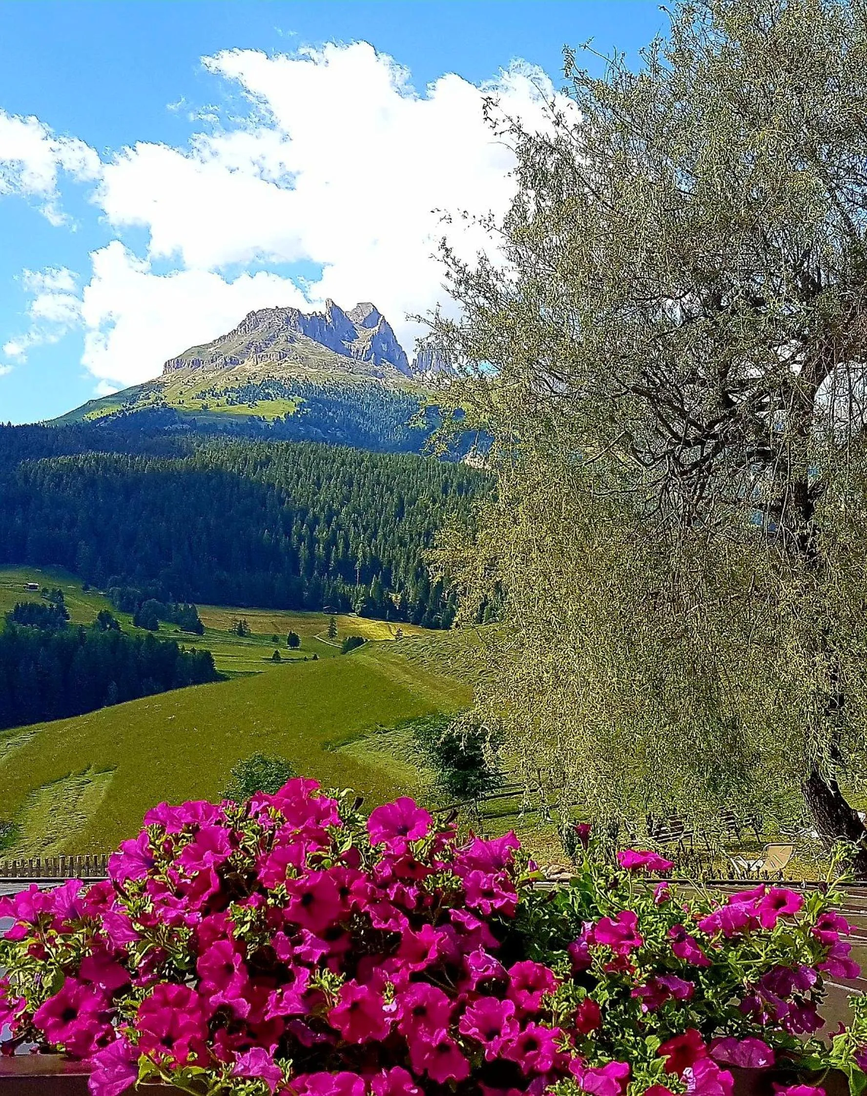 Ciasa Alpina Relax Hotel