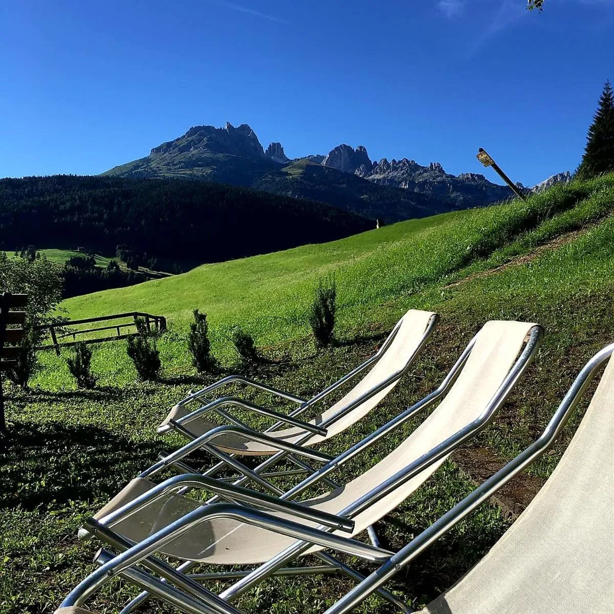 Garden in Ciasa Alpina Relax Hotel