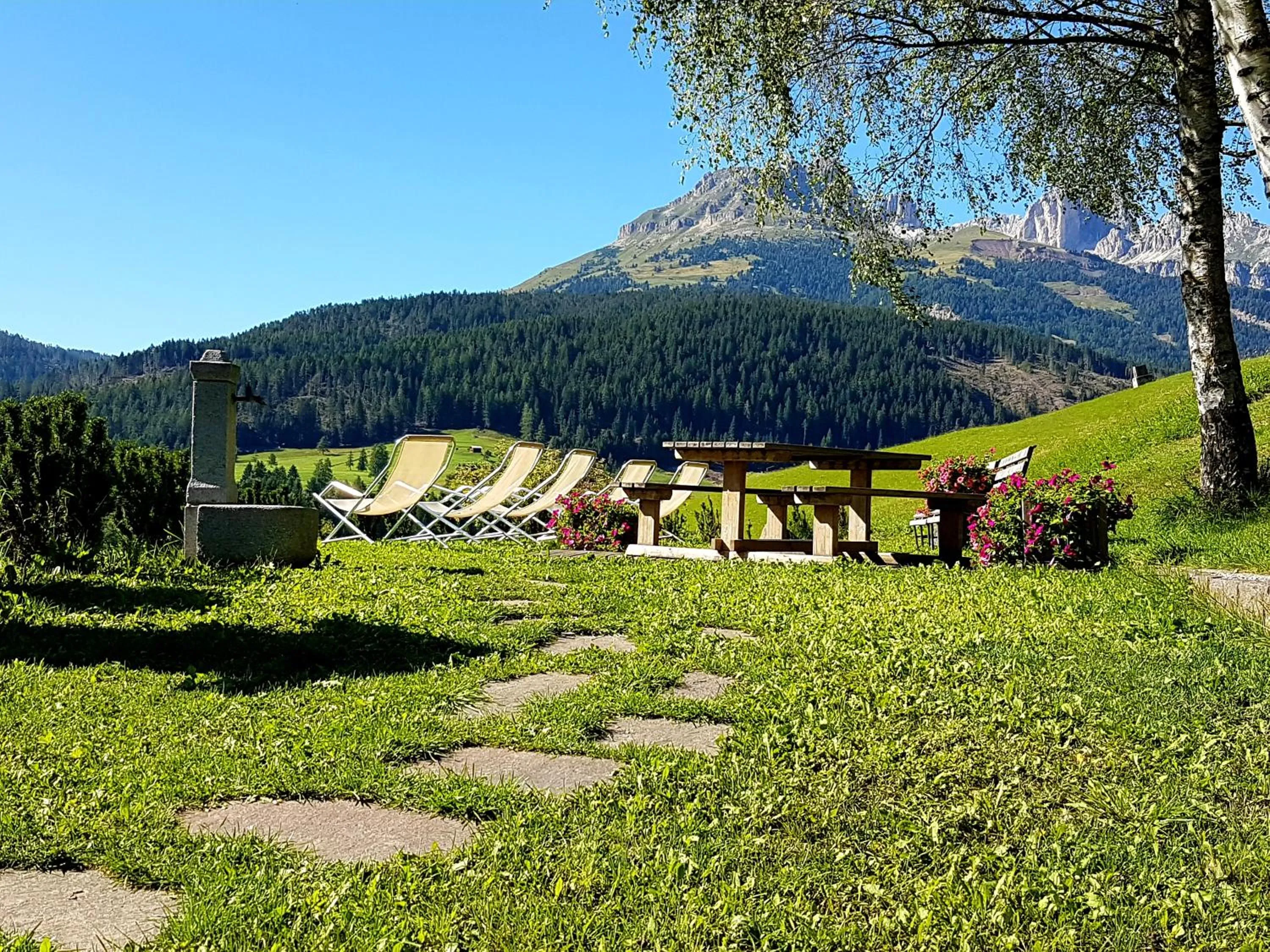 Ciasa Alpina Relax Hotel