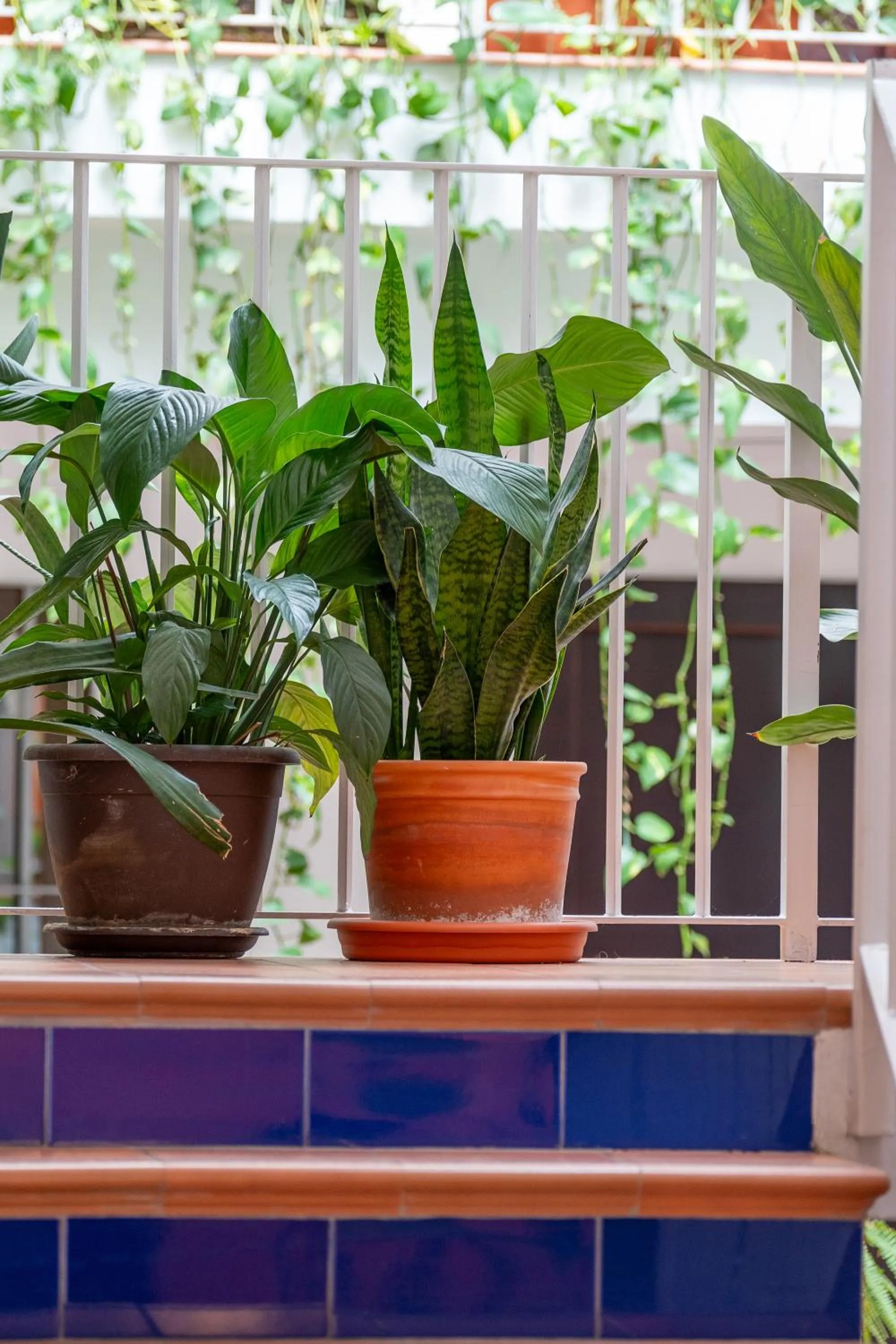 Lobby or reception in I AM La Posada Hotel and Apartment