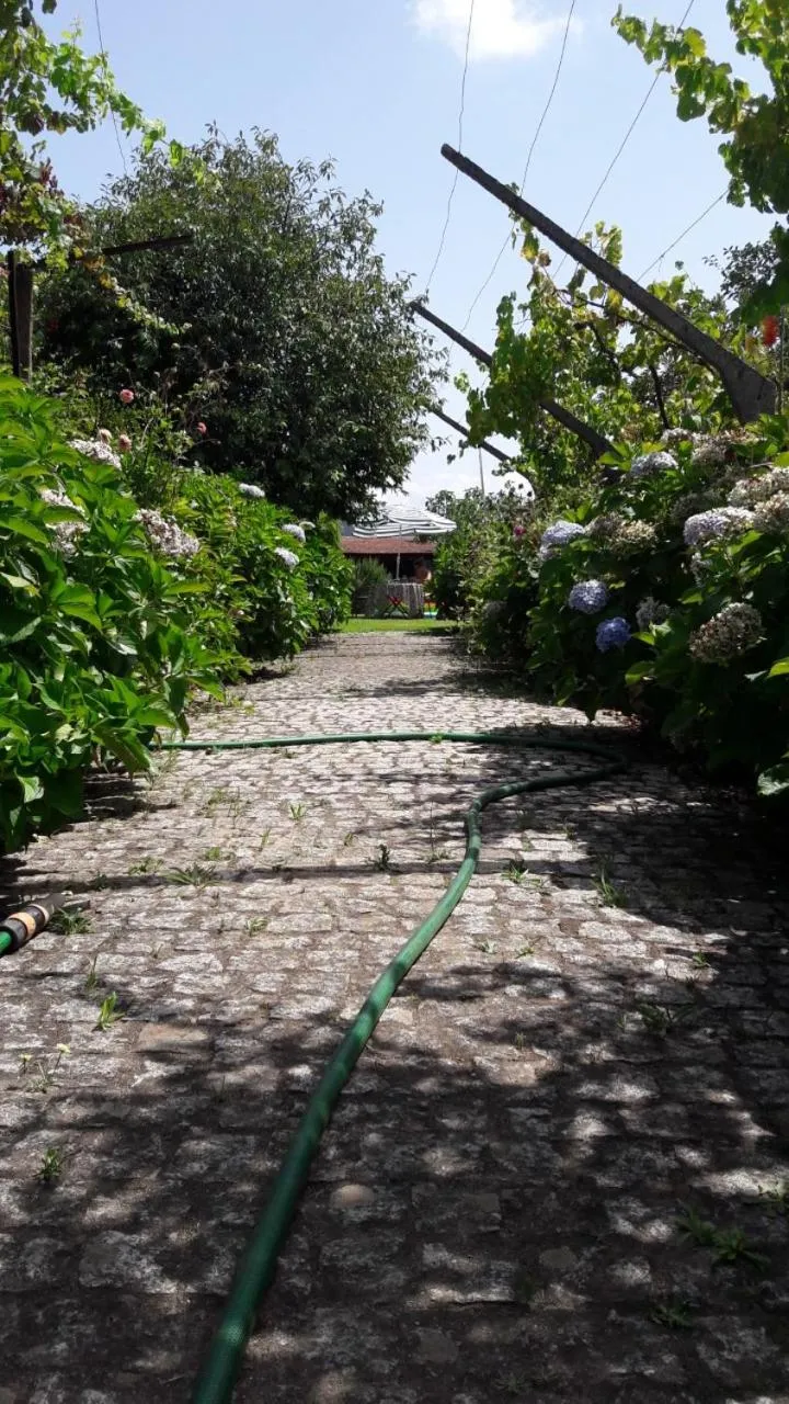Garden in Quinta Drº Amarante