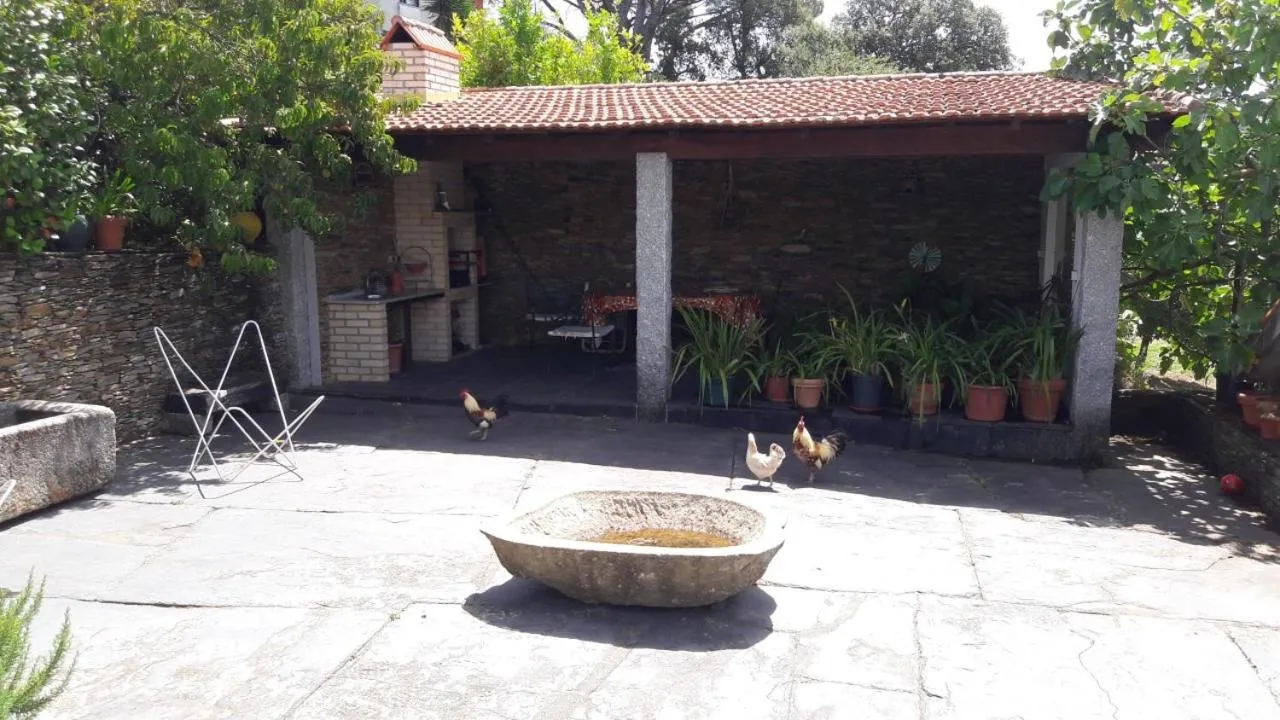 BBQ facilities in Quinta Drº Amarante