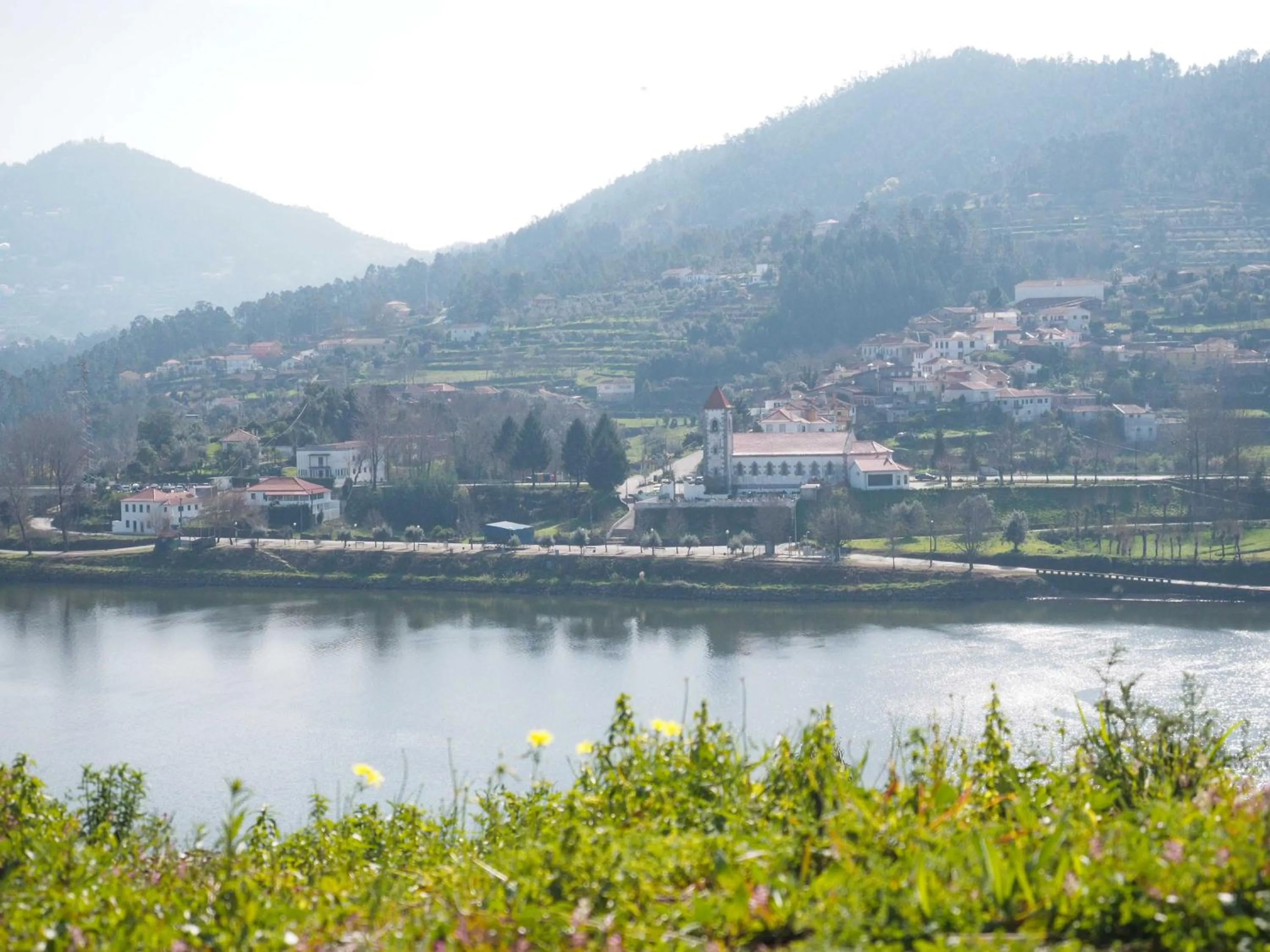 Quinta Drº Amarante