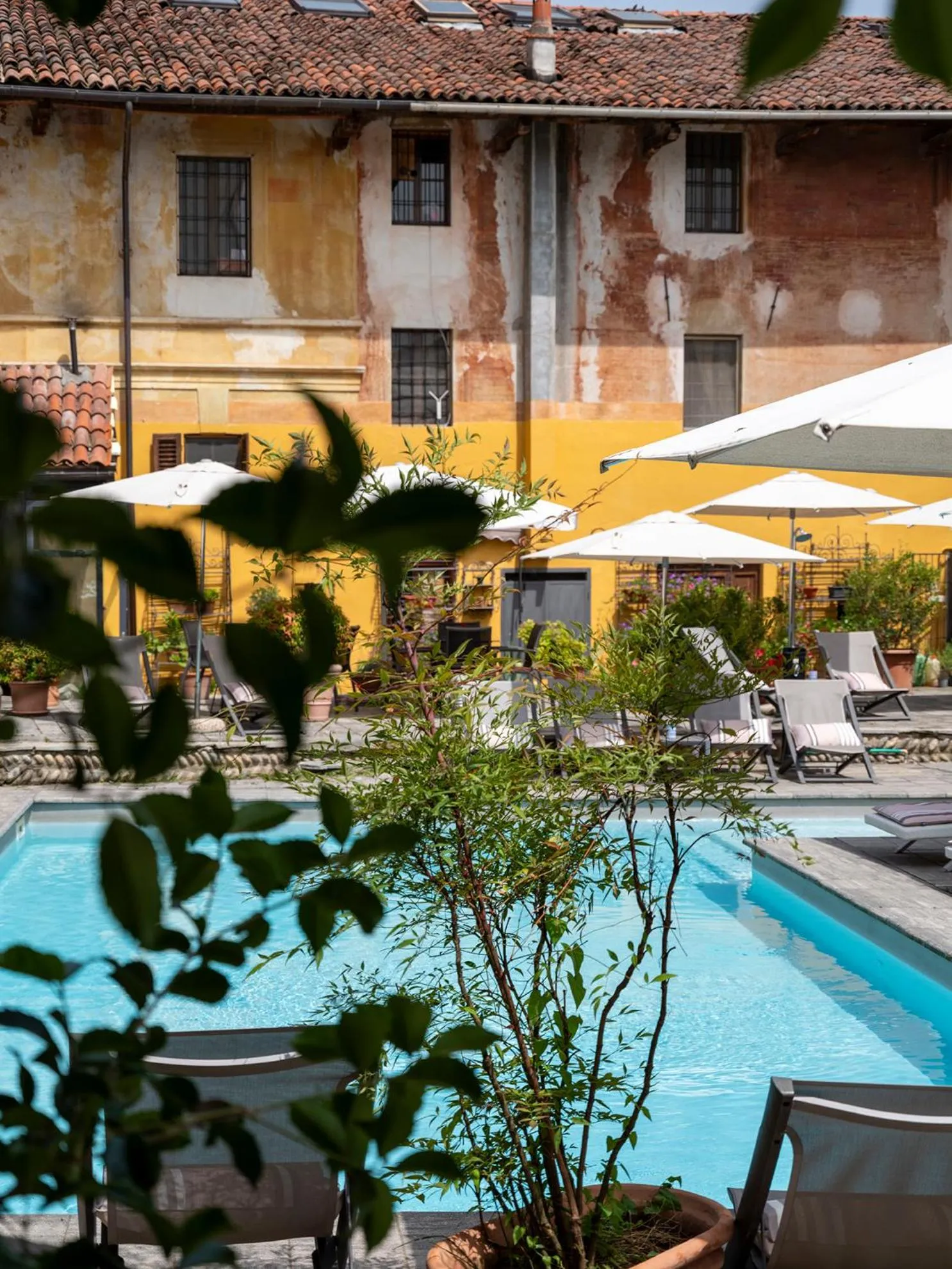 Garden in Al Castello Resort