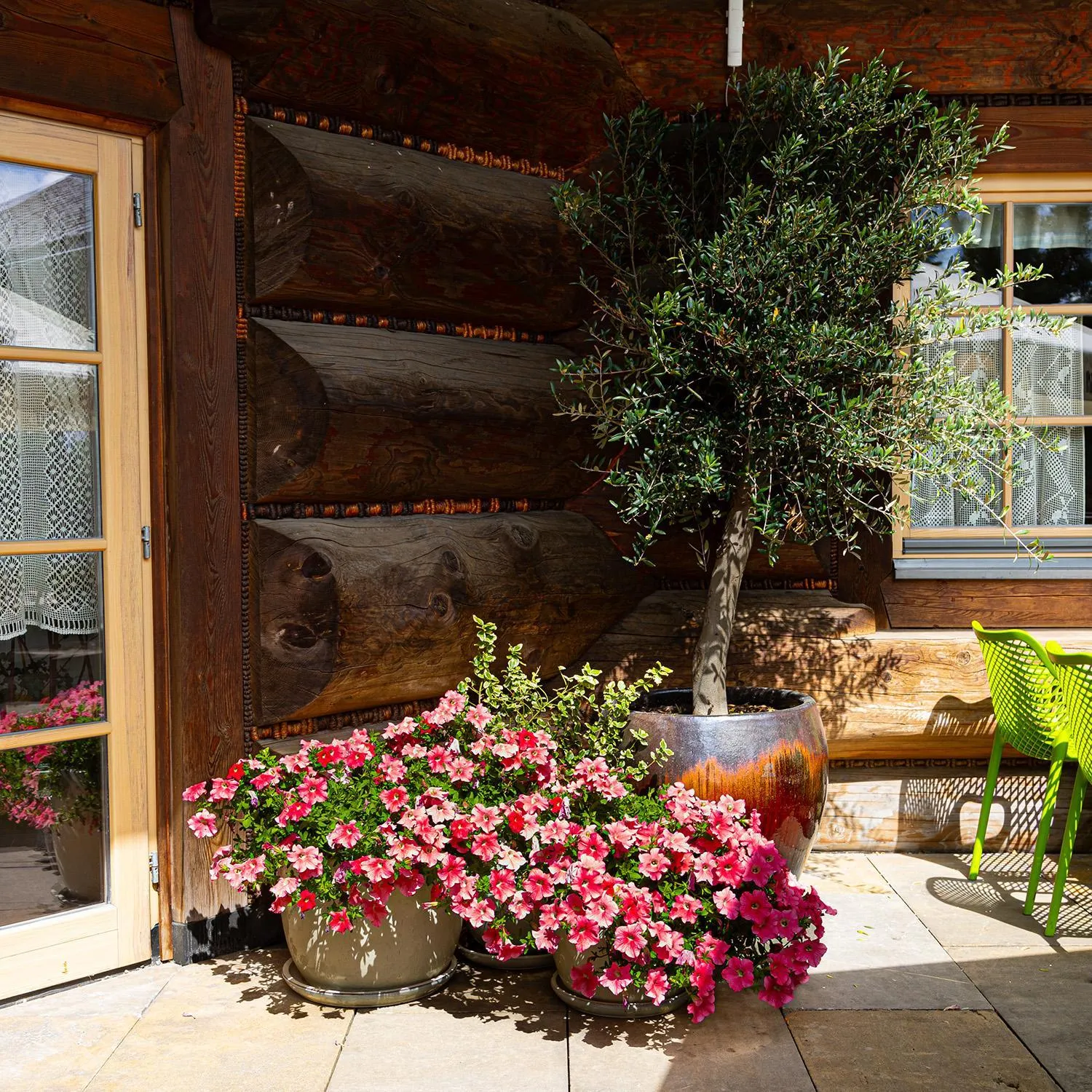 Balcony/Terrace in Chochołowy Dwór
