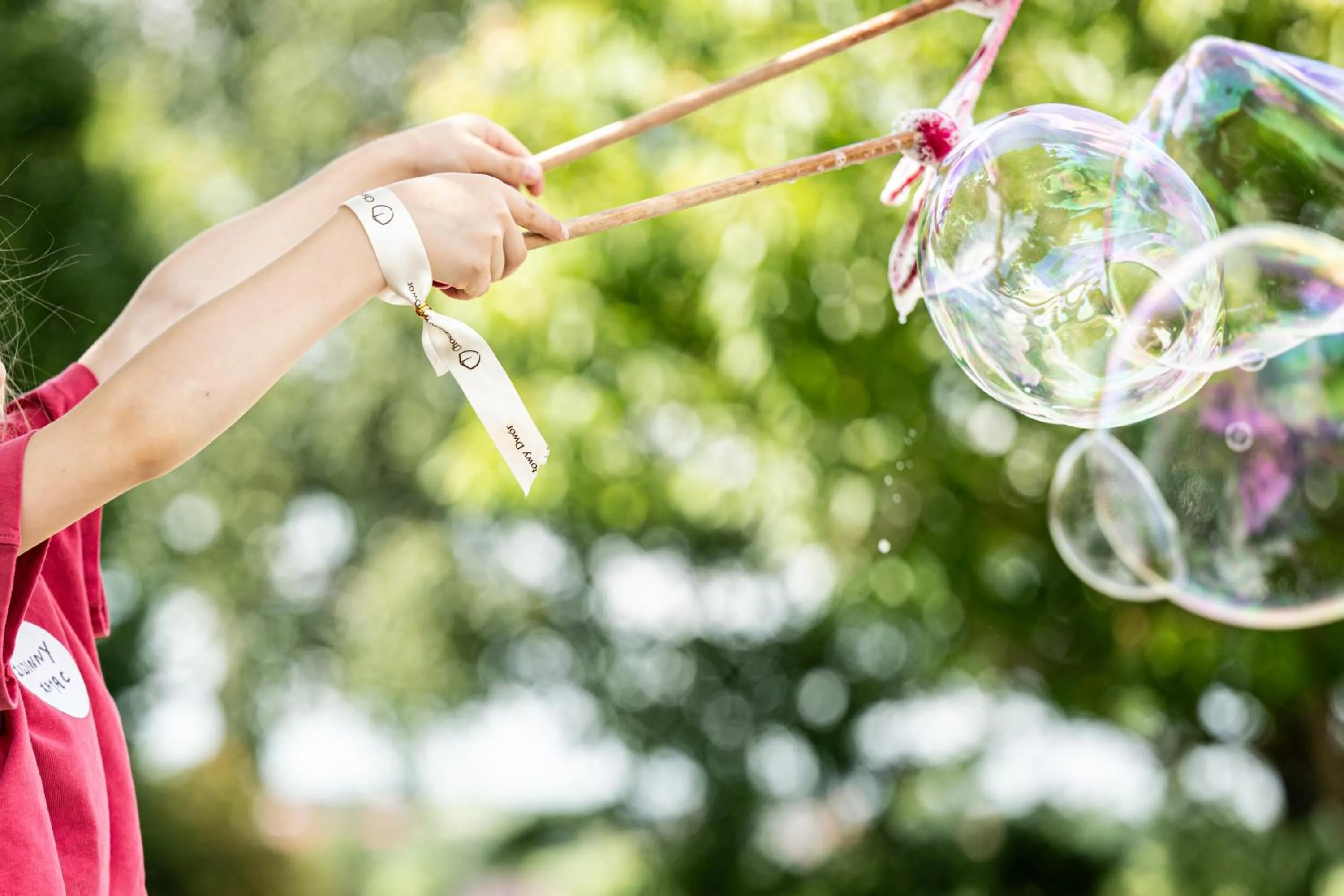 Garden in Chochołowy Dwór