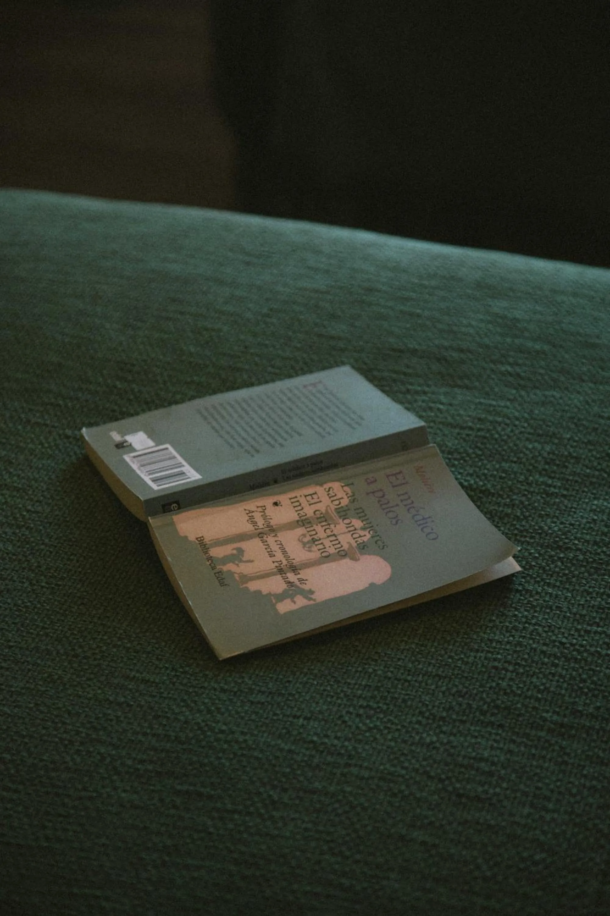 Bed in Hotel Eco Boutique Bidasoa