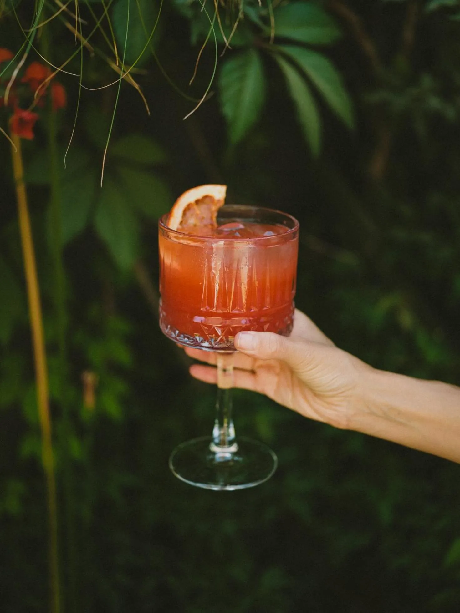 Drinks in Hotel Eco Boutique Bidasoa