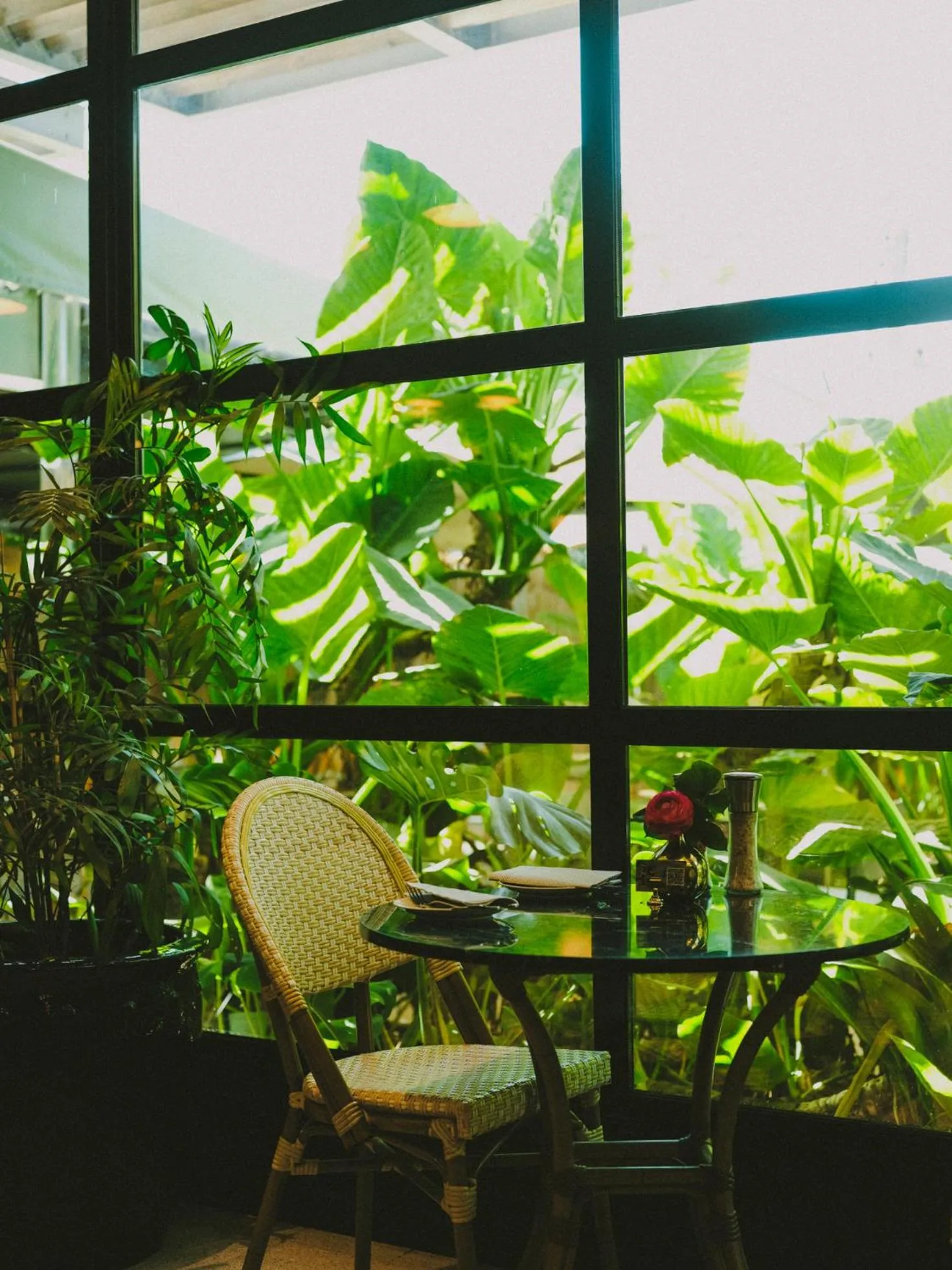 Restaurant/places to eat in Hotel Eco Boutique Bidasoa