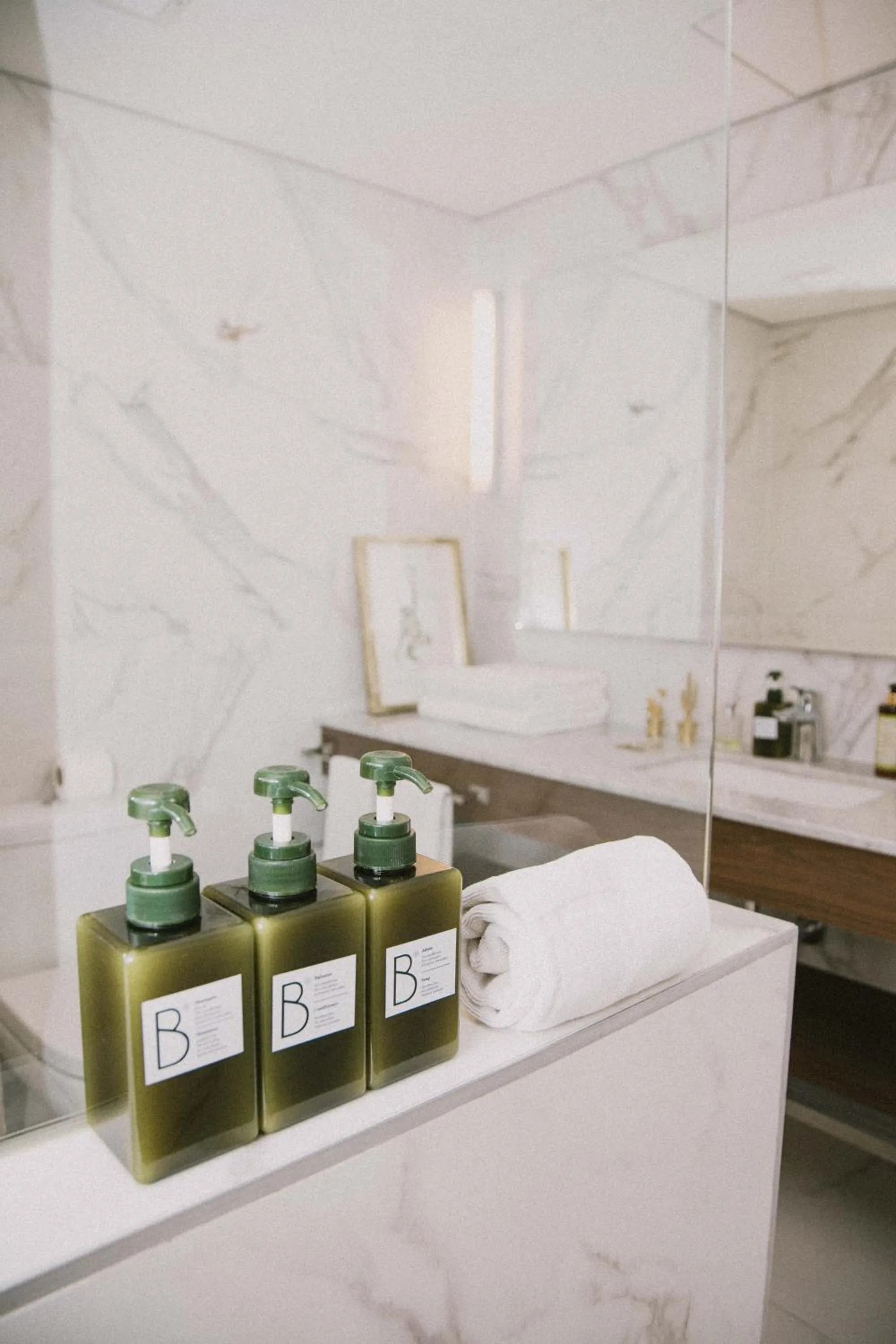 Shower in Hotel Eco Boutique Bidasoa