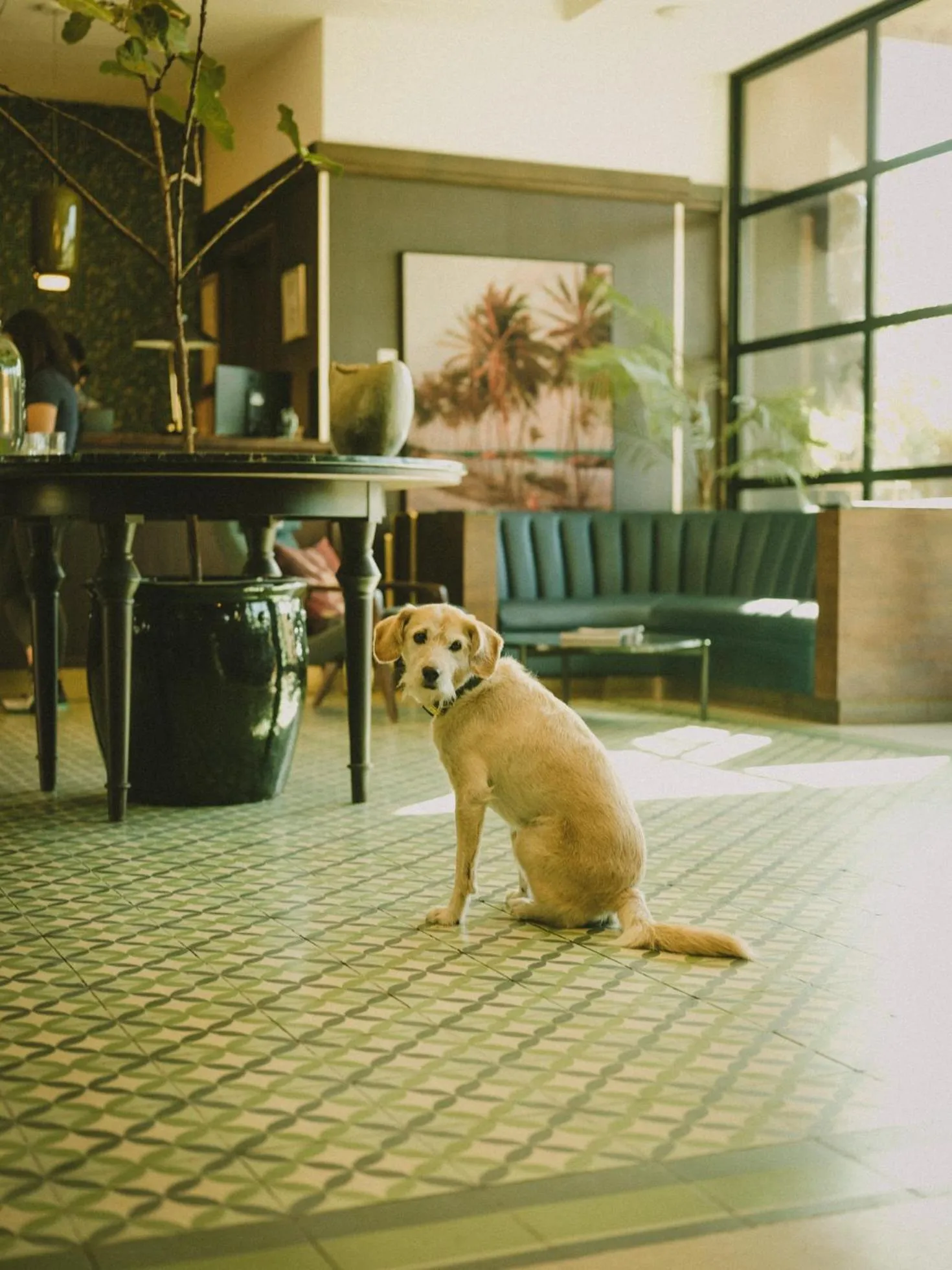 Lobby or reception in Hotel Eco Boutique Bidasoa