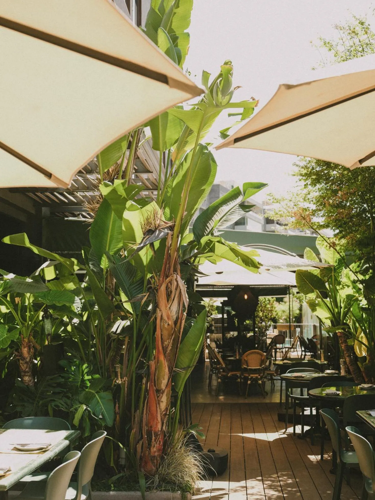 Restaurant/places to eat in Hotel Eco Boutique Bidasoa