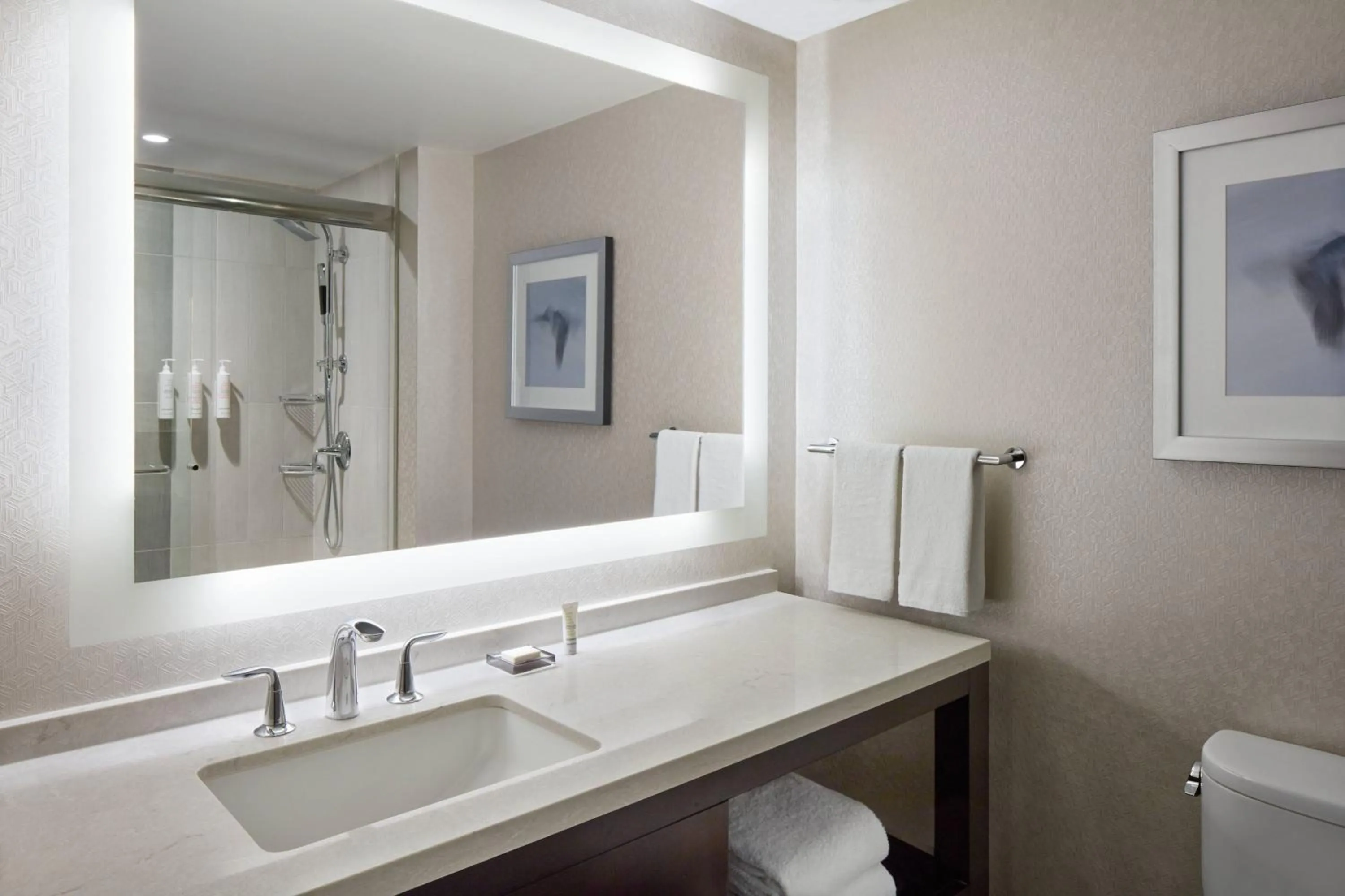 Bathroom in Marriott Downtown at CF Toronto Eaton Centre