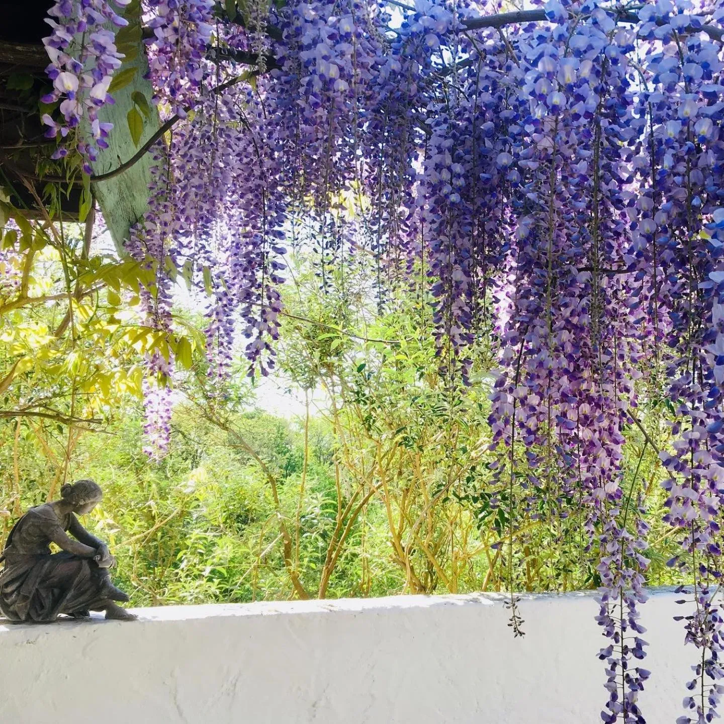 Garden in les Didascalies