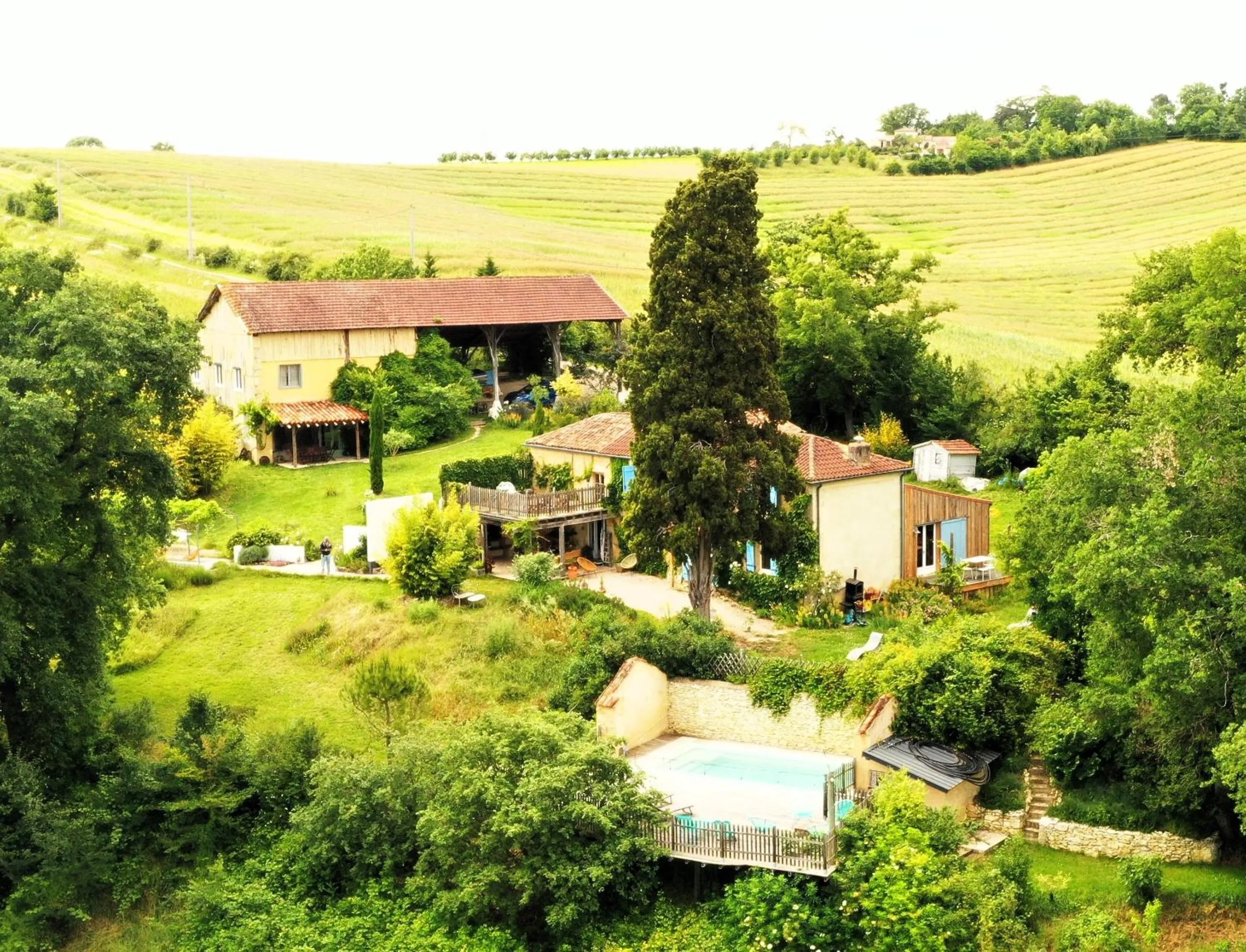 Bird's eye view in les Didascalies