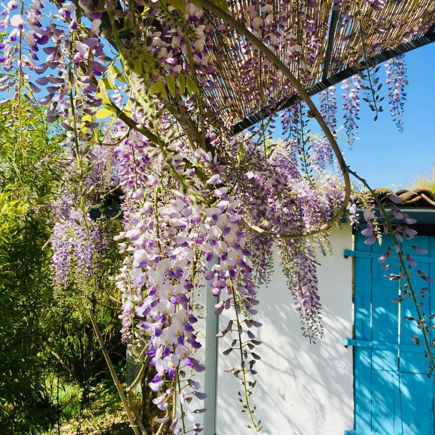 Patio in les Didascalies