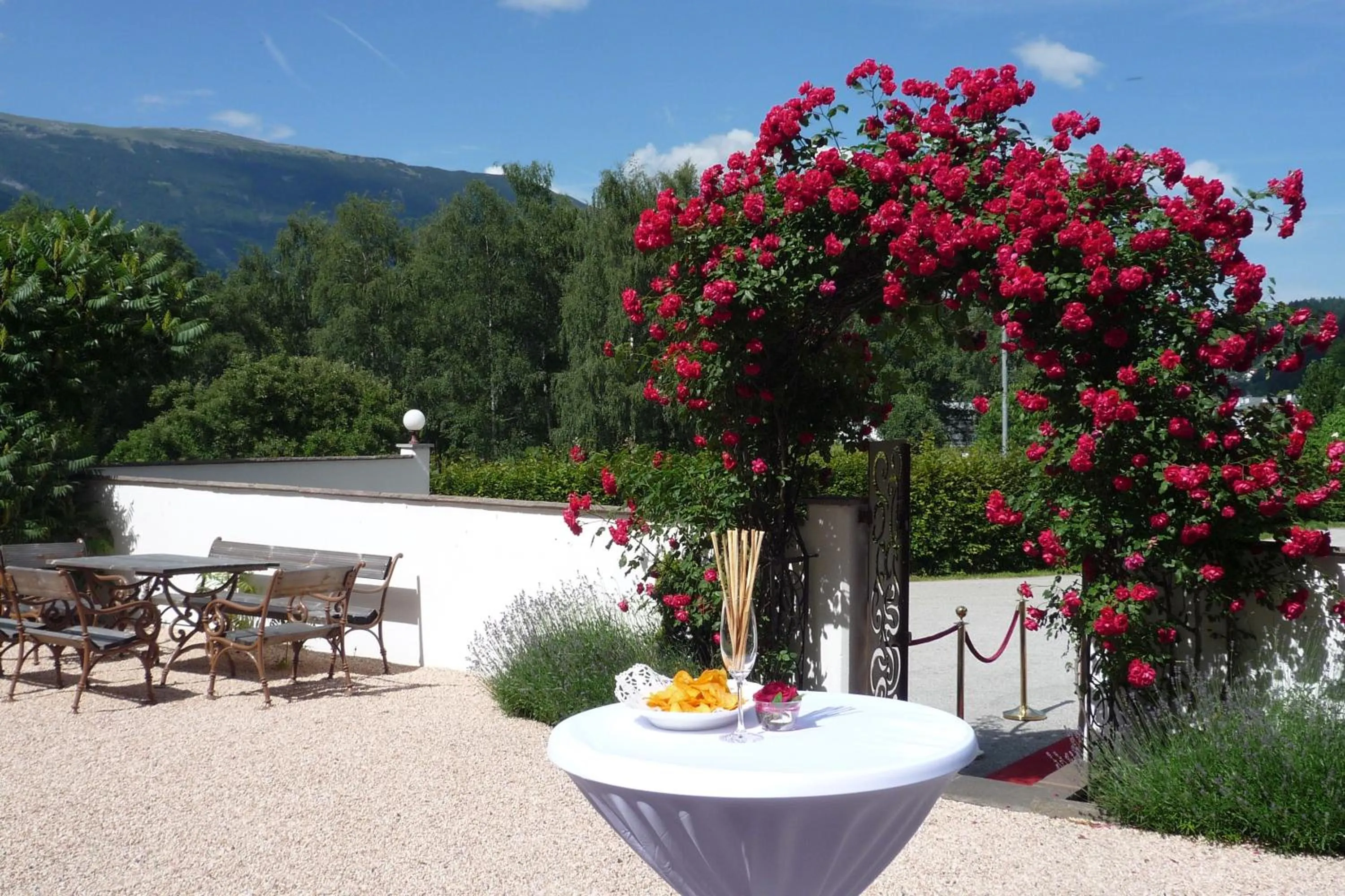 Garden in Hotel Plankenhof B&B