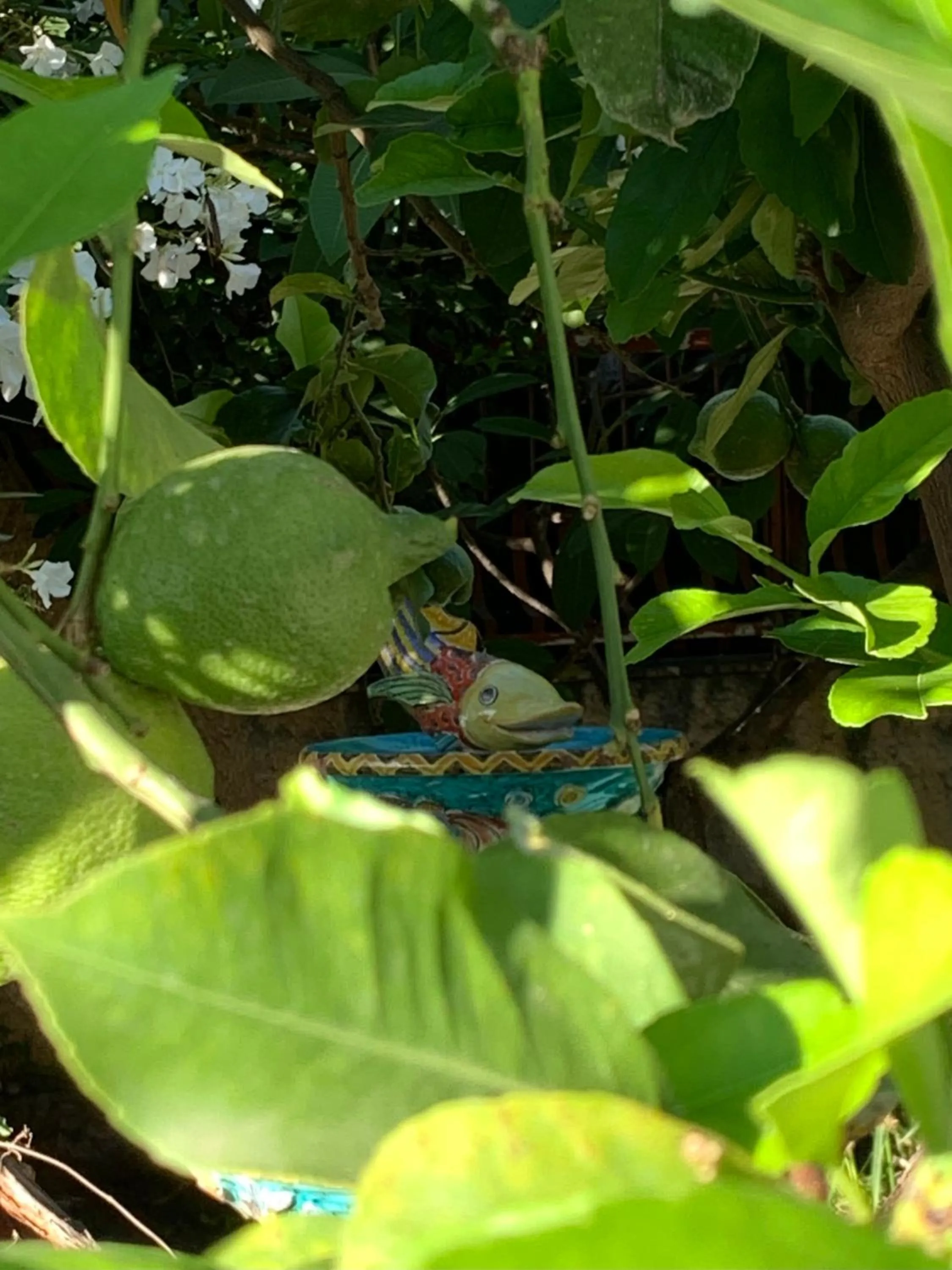 Garden in Casa Vacanze Astori