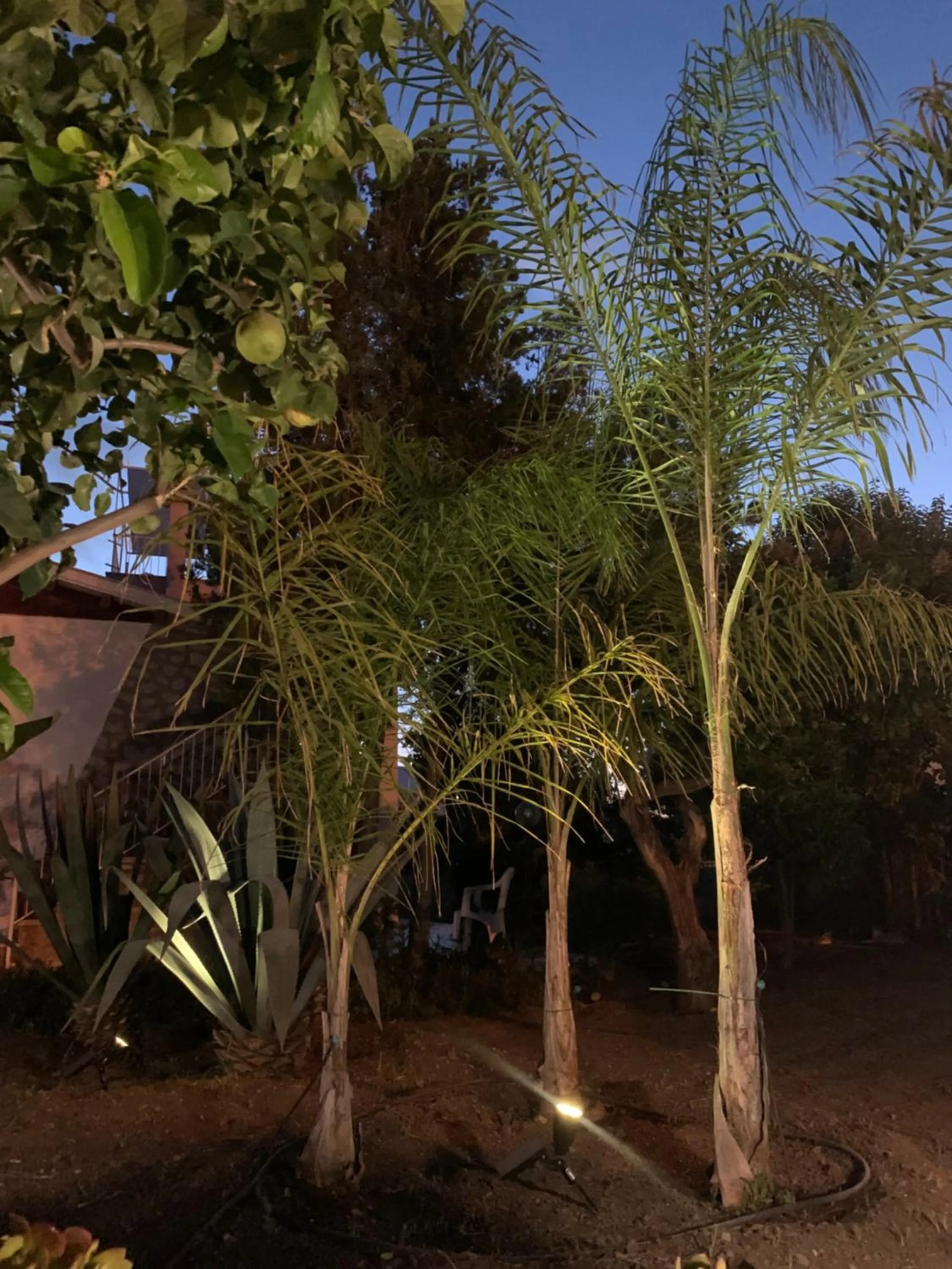 Garden in Casa Vacanze Astori