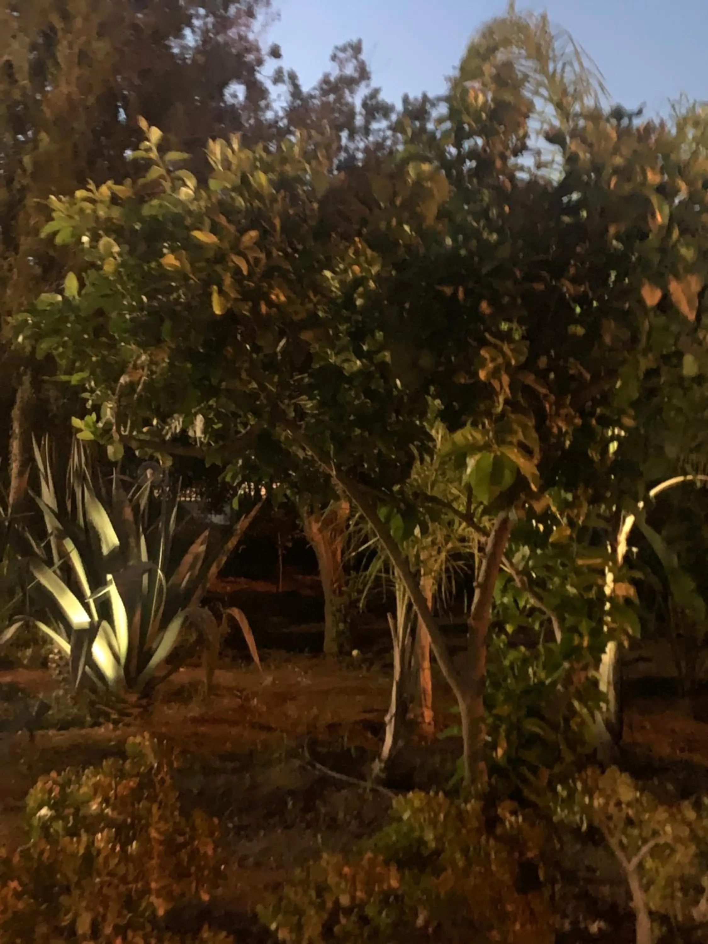 Property building in Casa Vacanze Astori