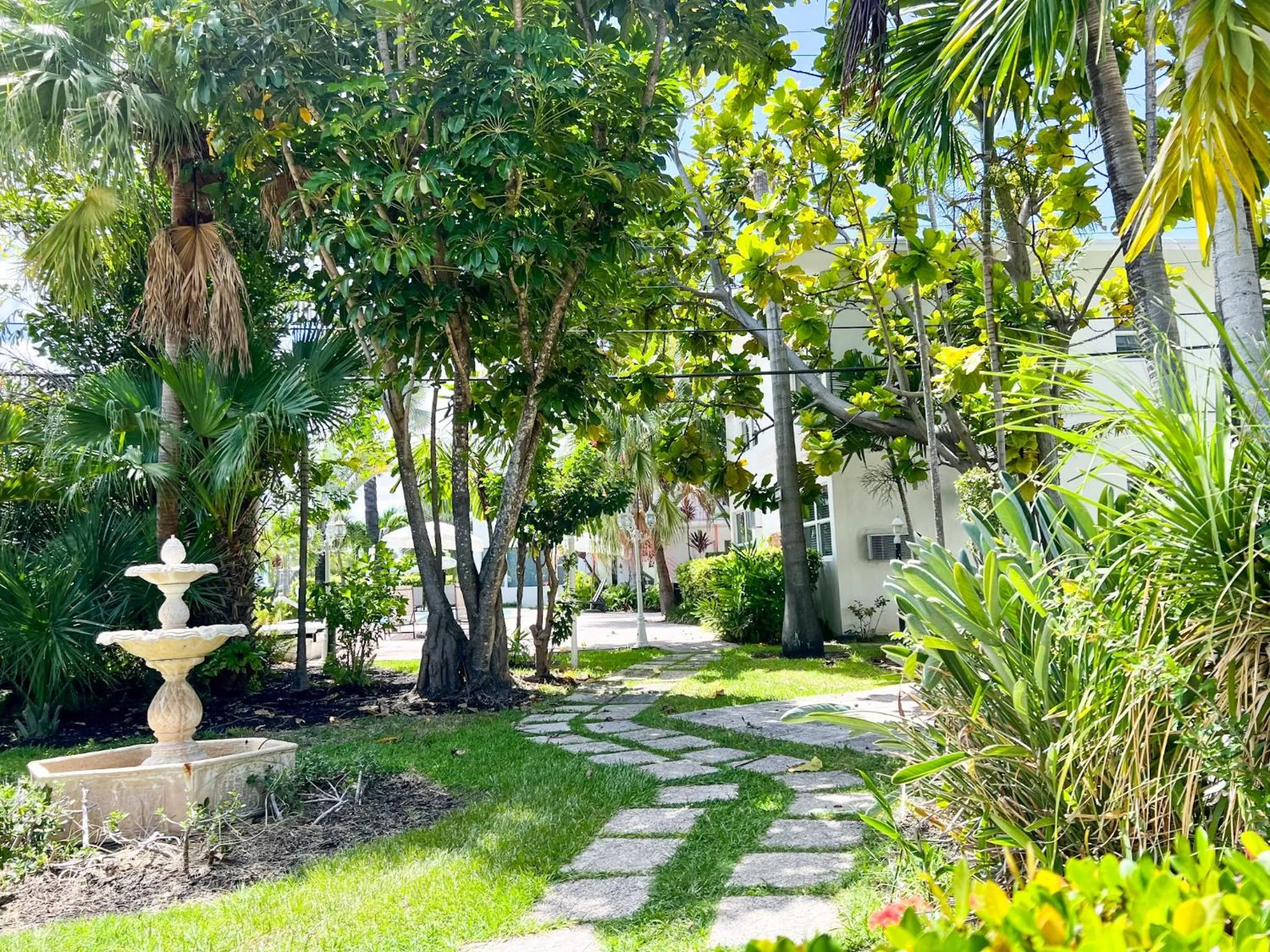 Natural landscape in Winterset