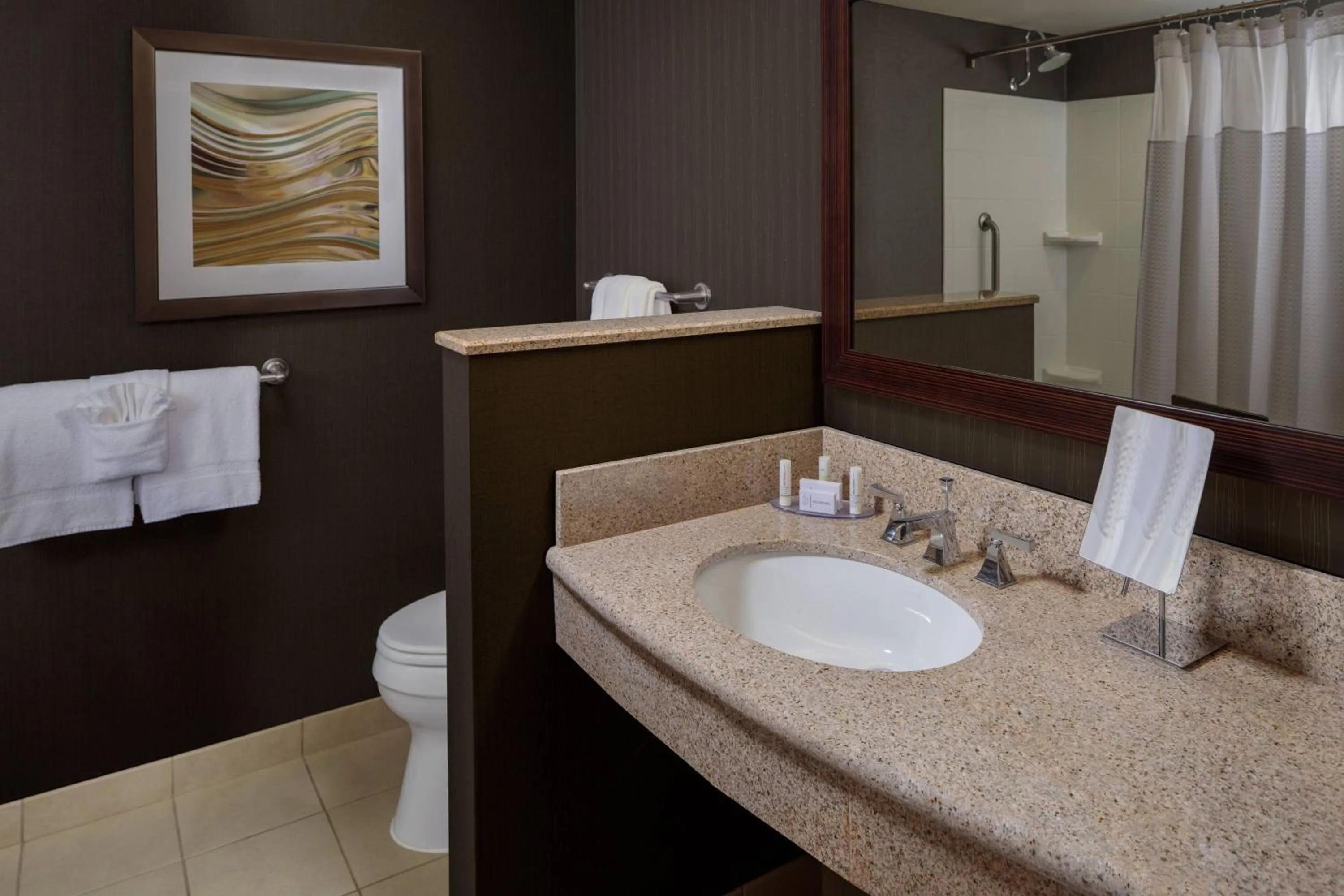 Bathroom in Courtyard by Marriott Houston Medical Center/NRG Park