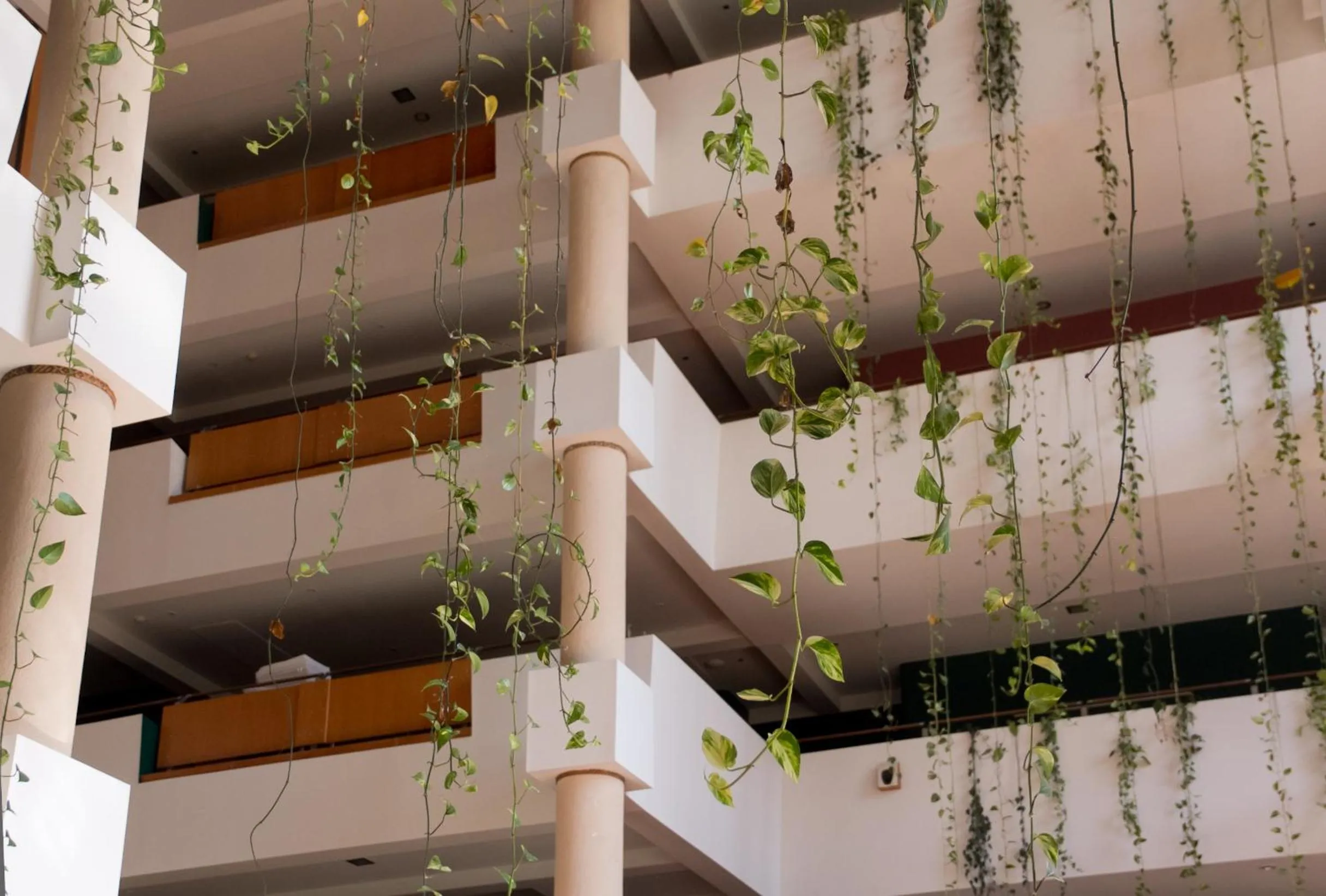 Other in Amérian Portal Del Iguazú Hotel