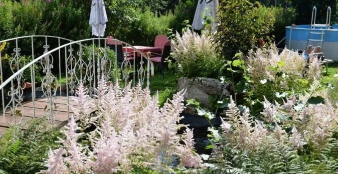 Swimming pool in Waldhof