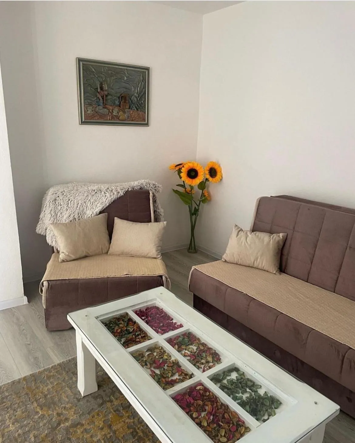 Two-Bedroom Apartment - single occupancy in Apartment Panorama Mostar